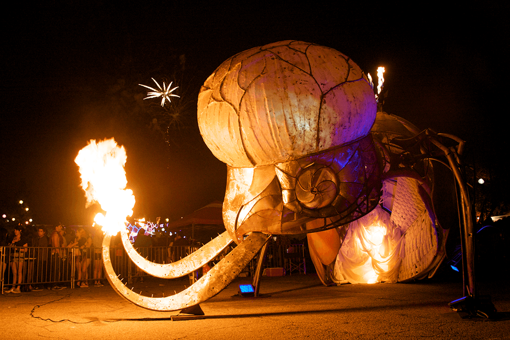 FishBug at the Electric Daisy Carnival in Las Vegas, Nevada, 2011. photo: Jess Hobbs 2011