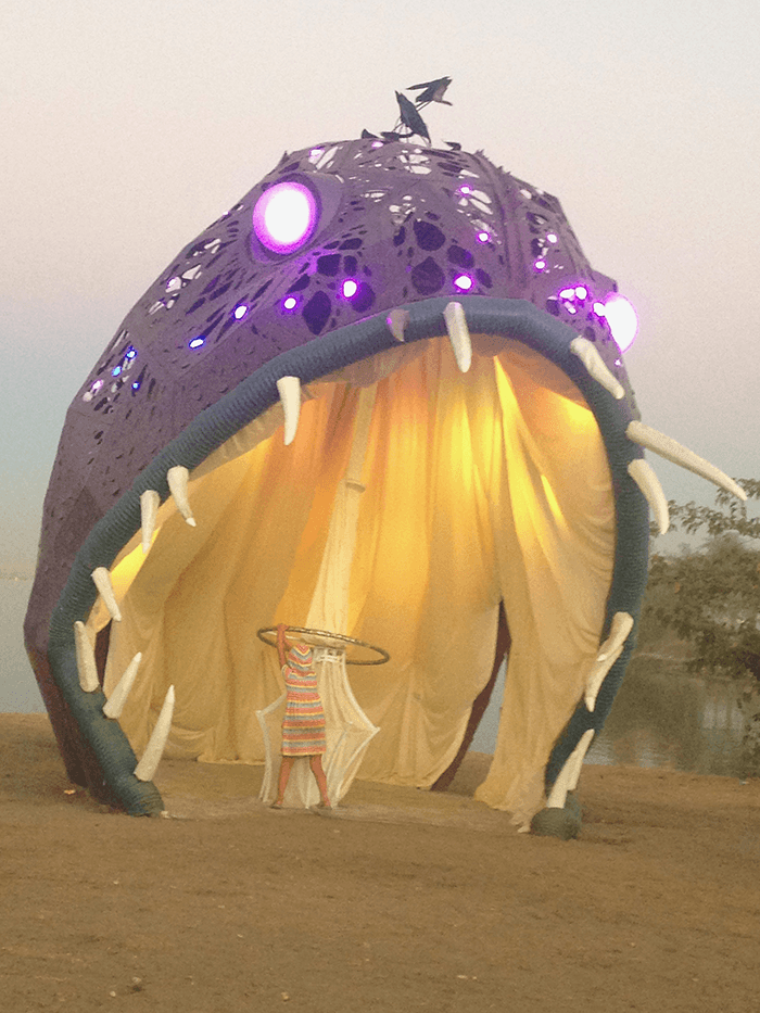 Illumacanth at Treasure Island Music Festival, 2016