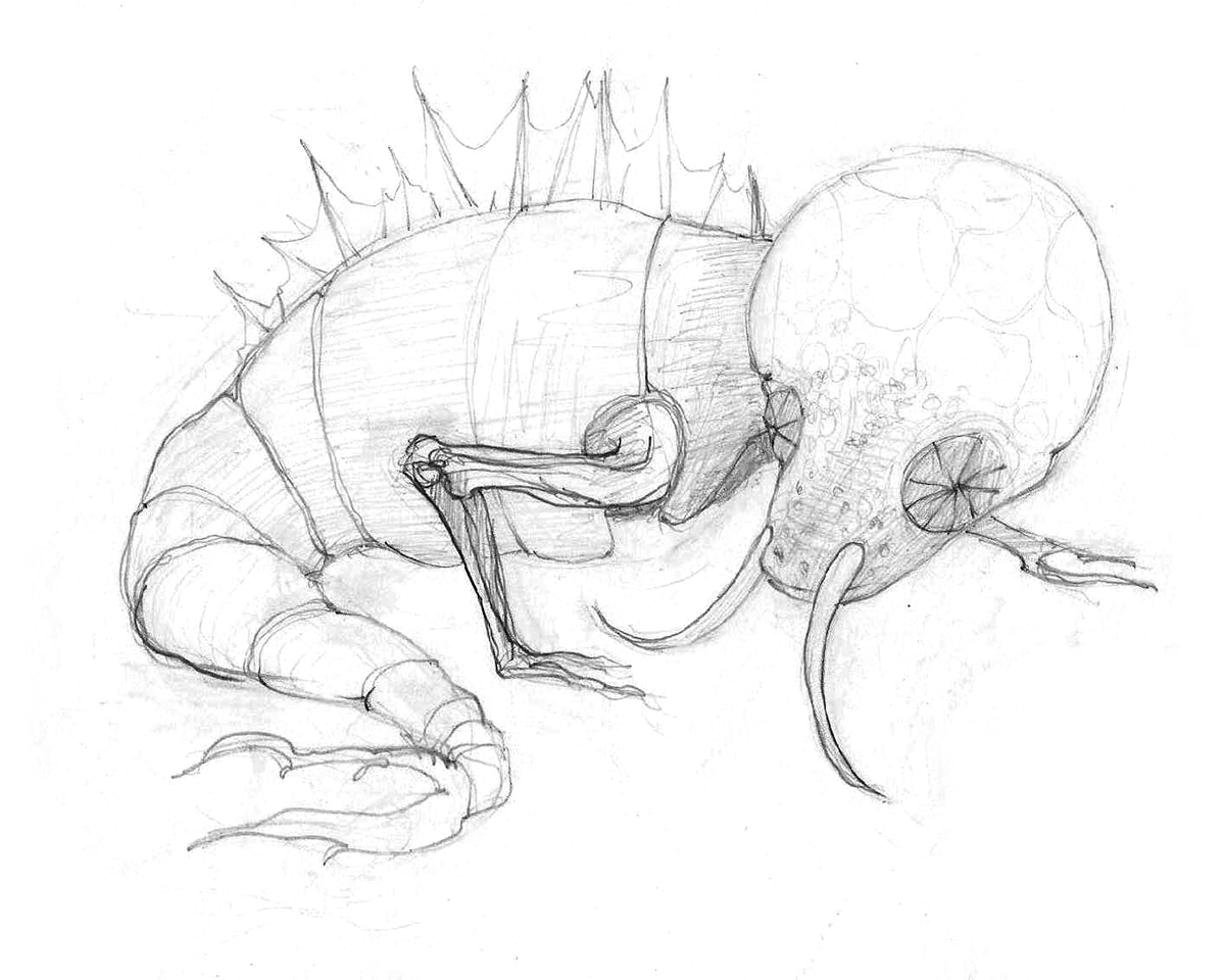 FishBug early sketch (R. Anders 2009)