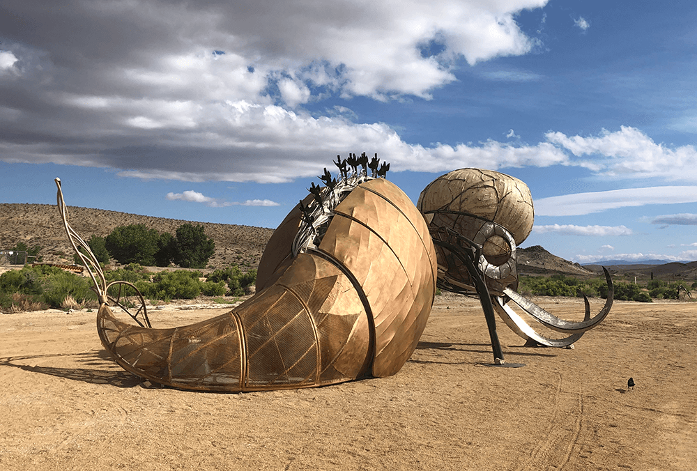 FishBug on Spicer Ranch in Beatty, NV, 2019
