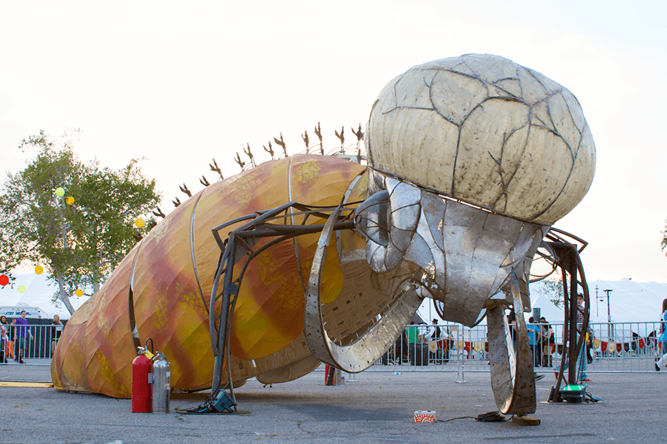 The 'Bug in Oakland CA. photo: Jess Hobbs 2016