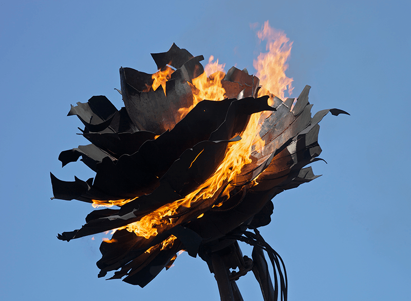 Zoa head fire. photo: Erik Wilson 2012