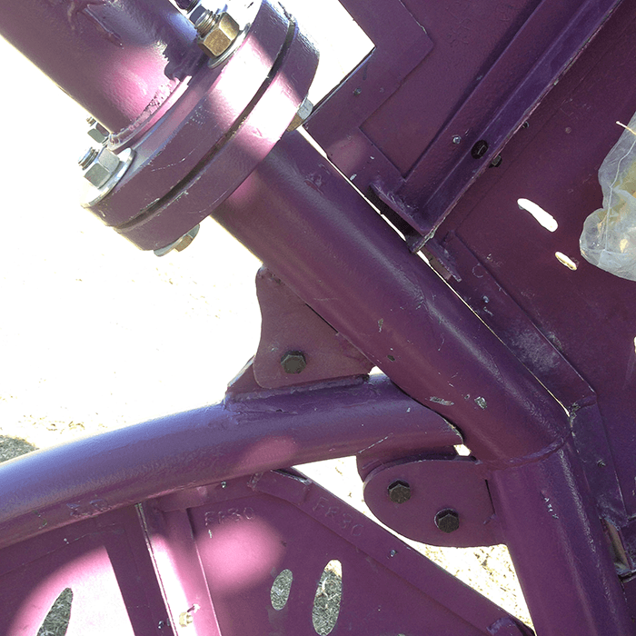 Structure and scale detail, Illumacanth.