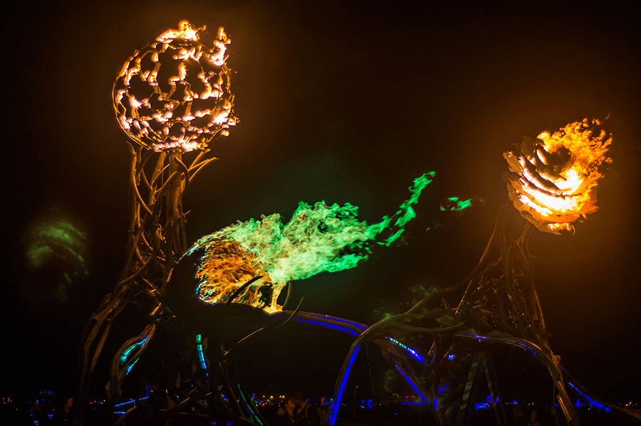 Zoa night show. photo: Peretz Partensky 2012