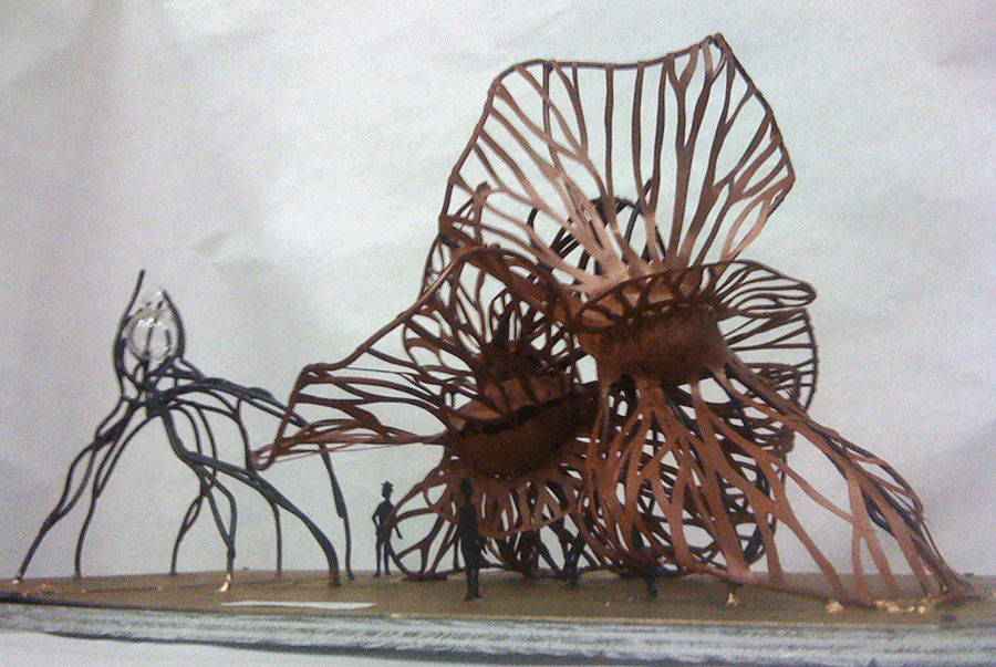 Proposal model for Zoa (R. Anders 2012)