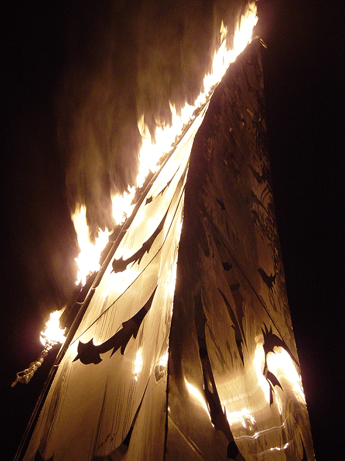 Liquid fuel flame effect, outer feathers. photo: Caroline Miller 2005