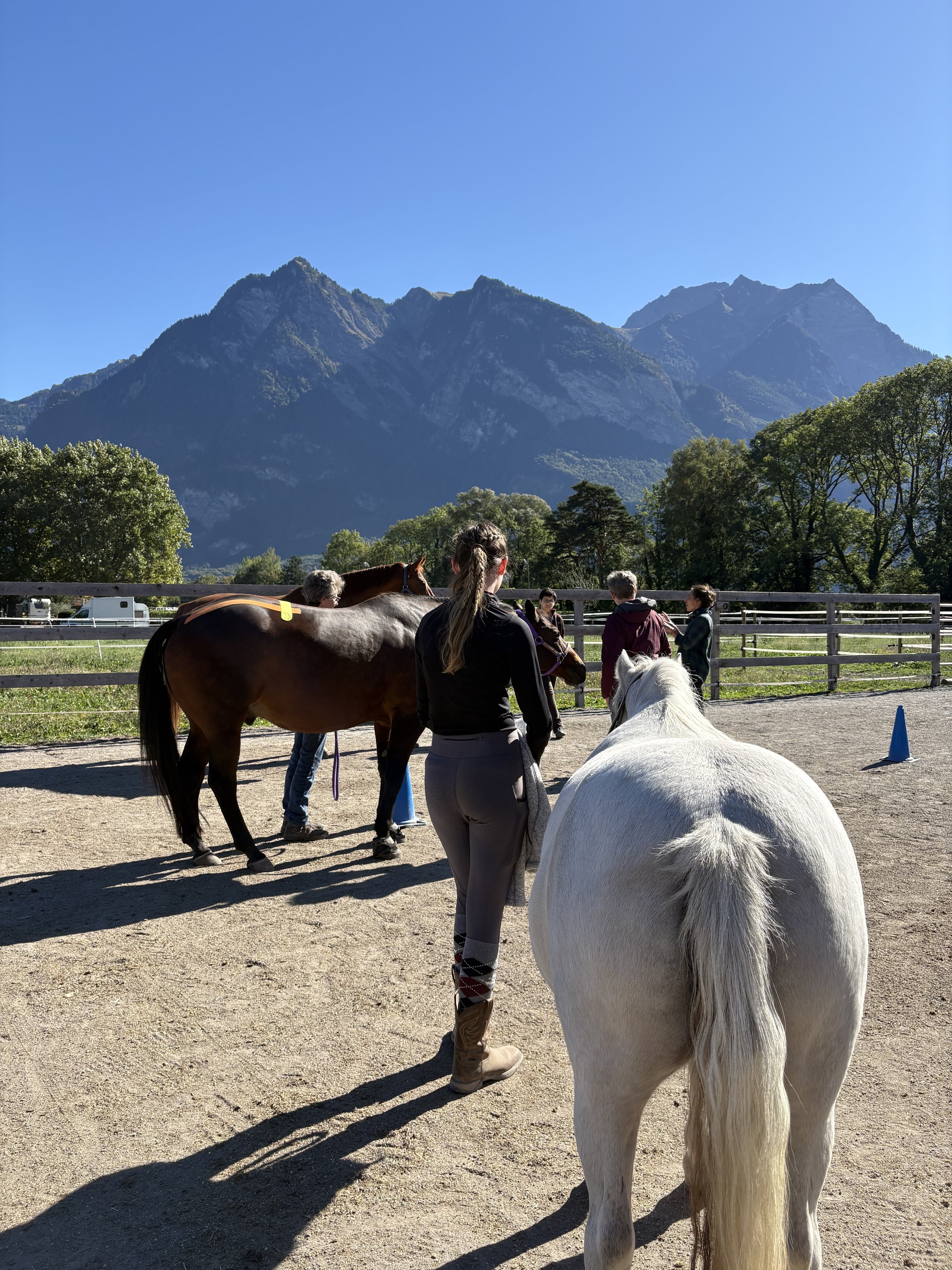 Tanz mit deinem Pferd