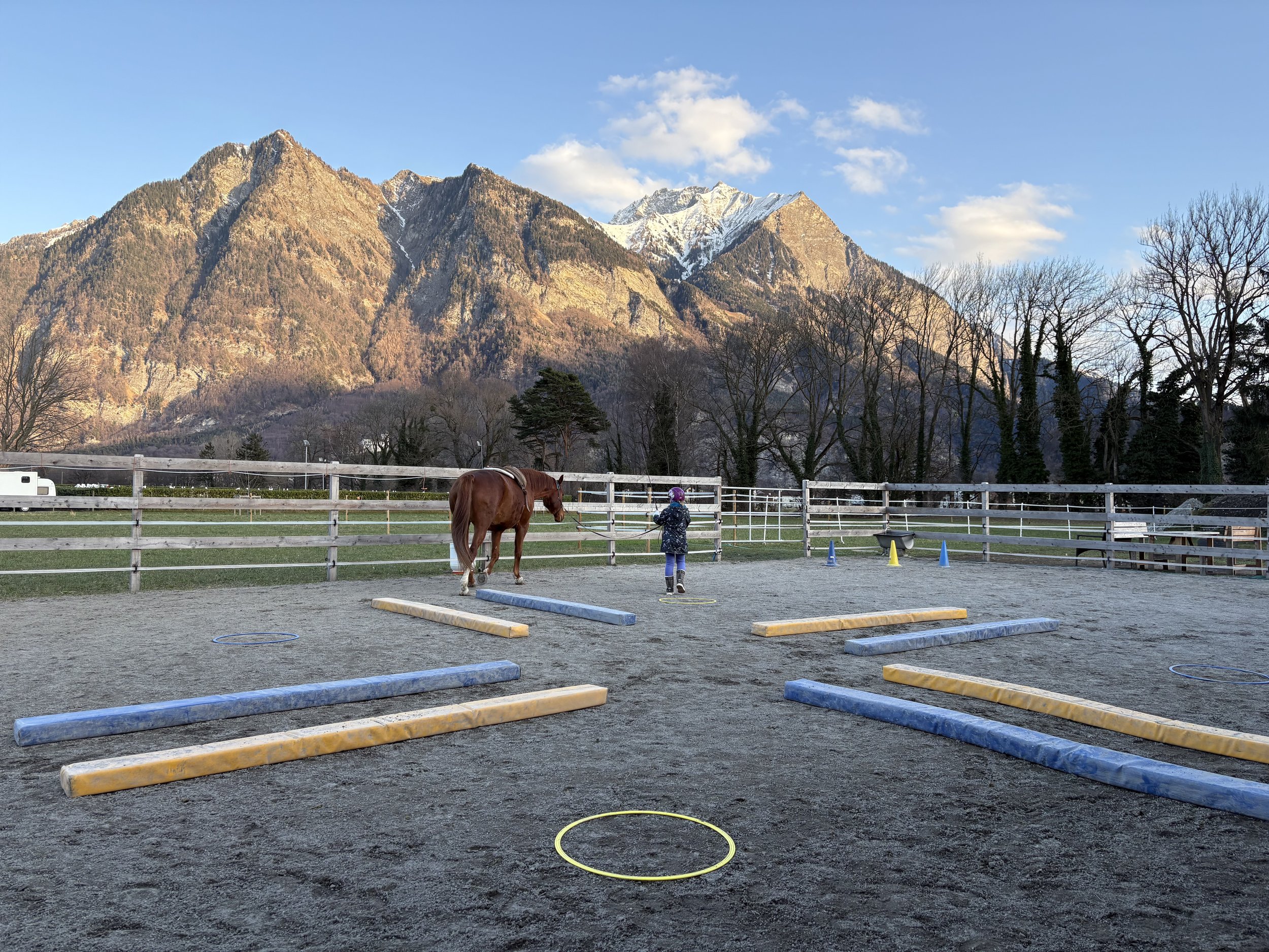 Dualini - Nachmittage 