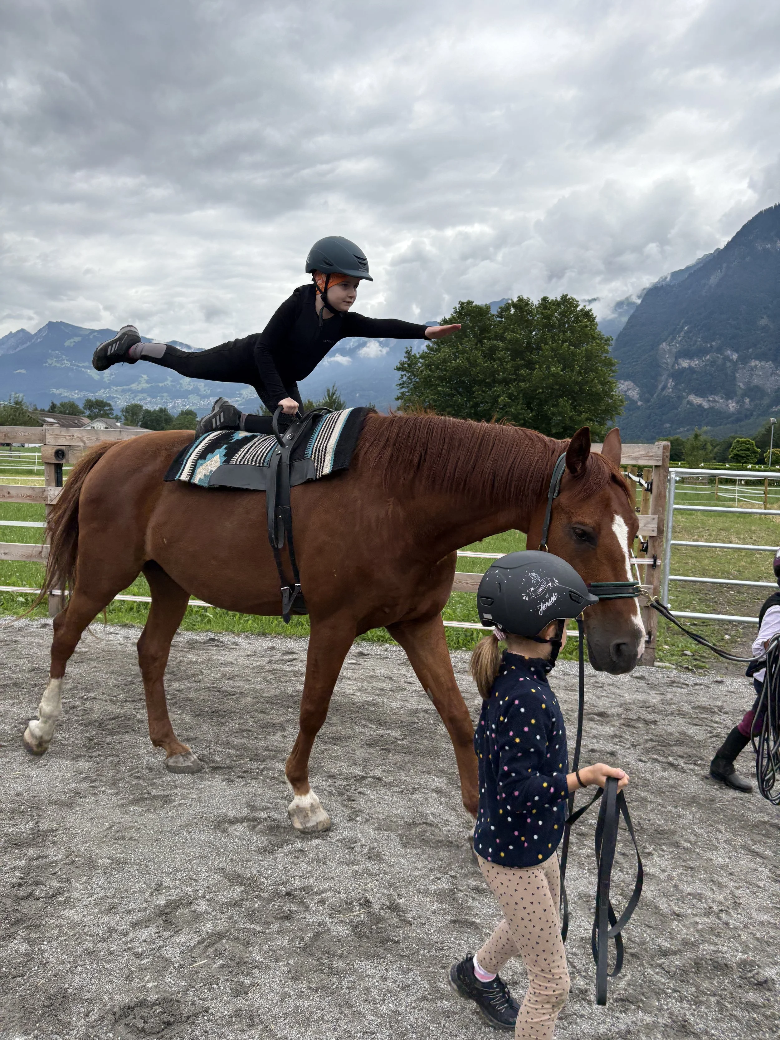 Voltige - Plauschnachmittage