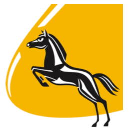 Dualaktivierung mit Nicole Vogt