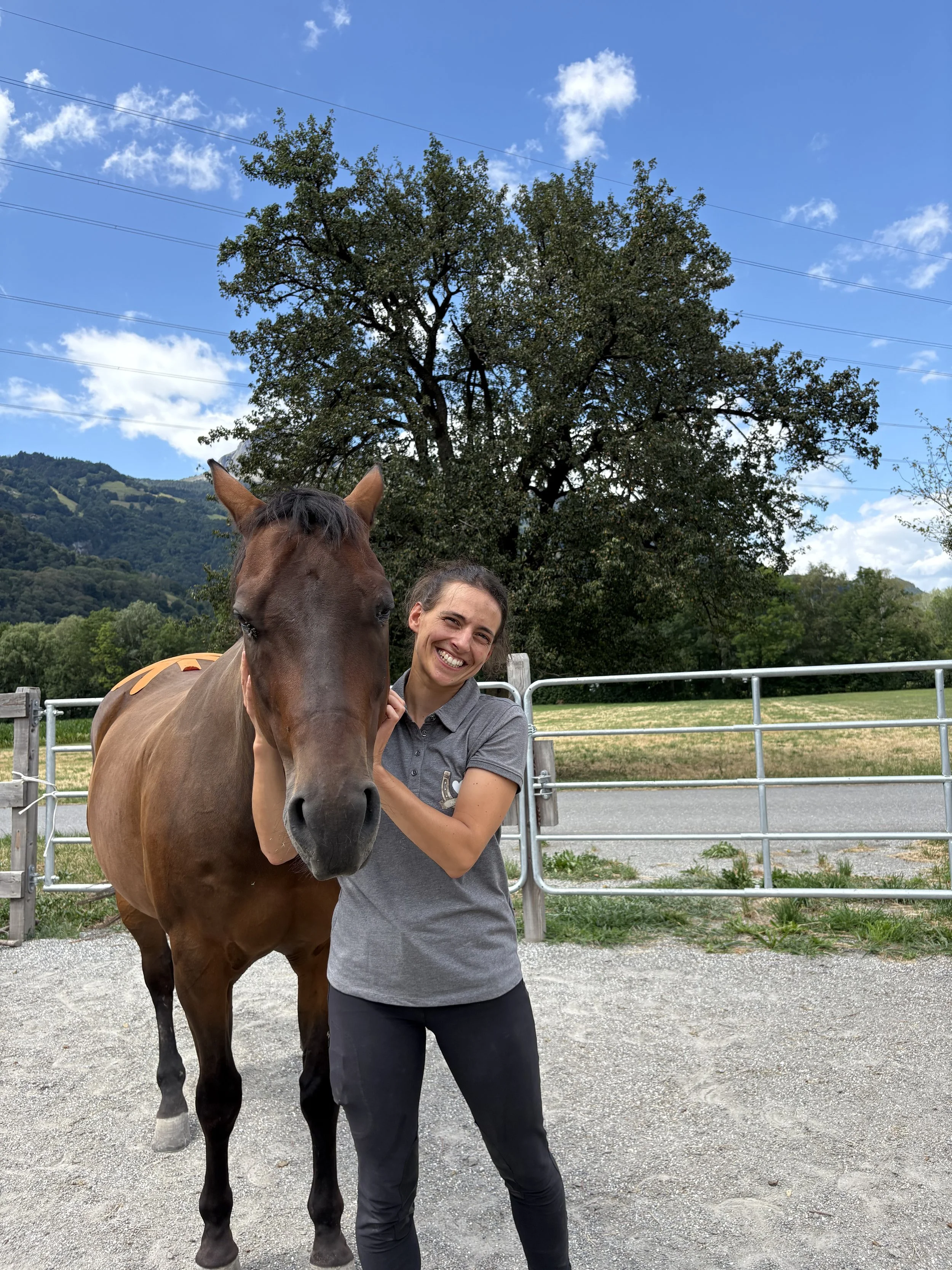 Tanz mit deinem Pferd