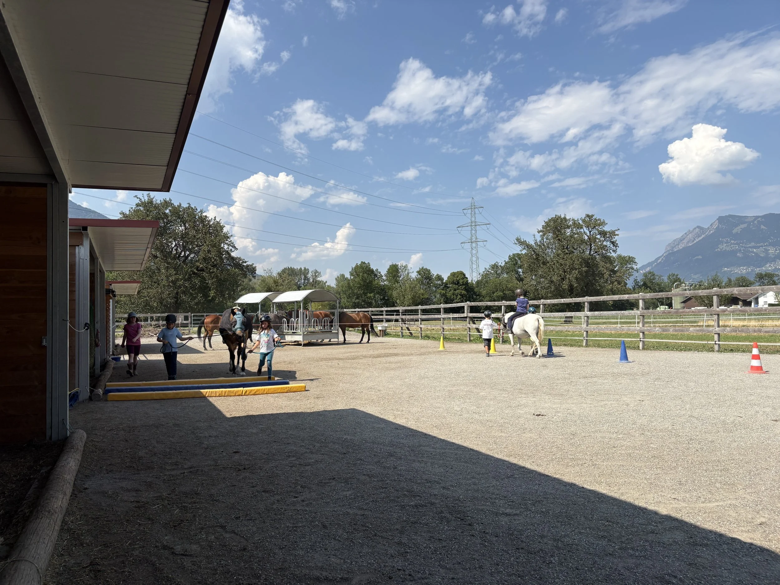 IMG_6279.jpeg
