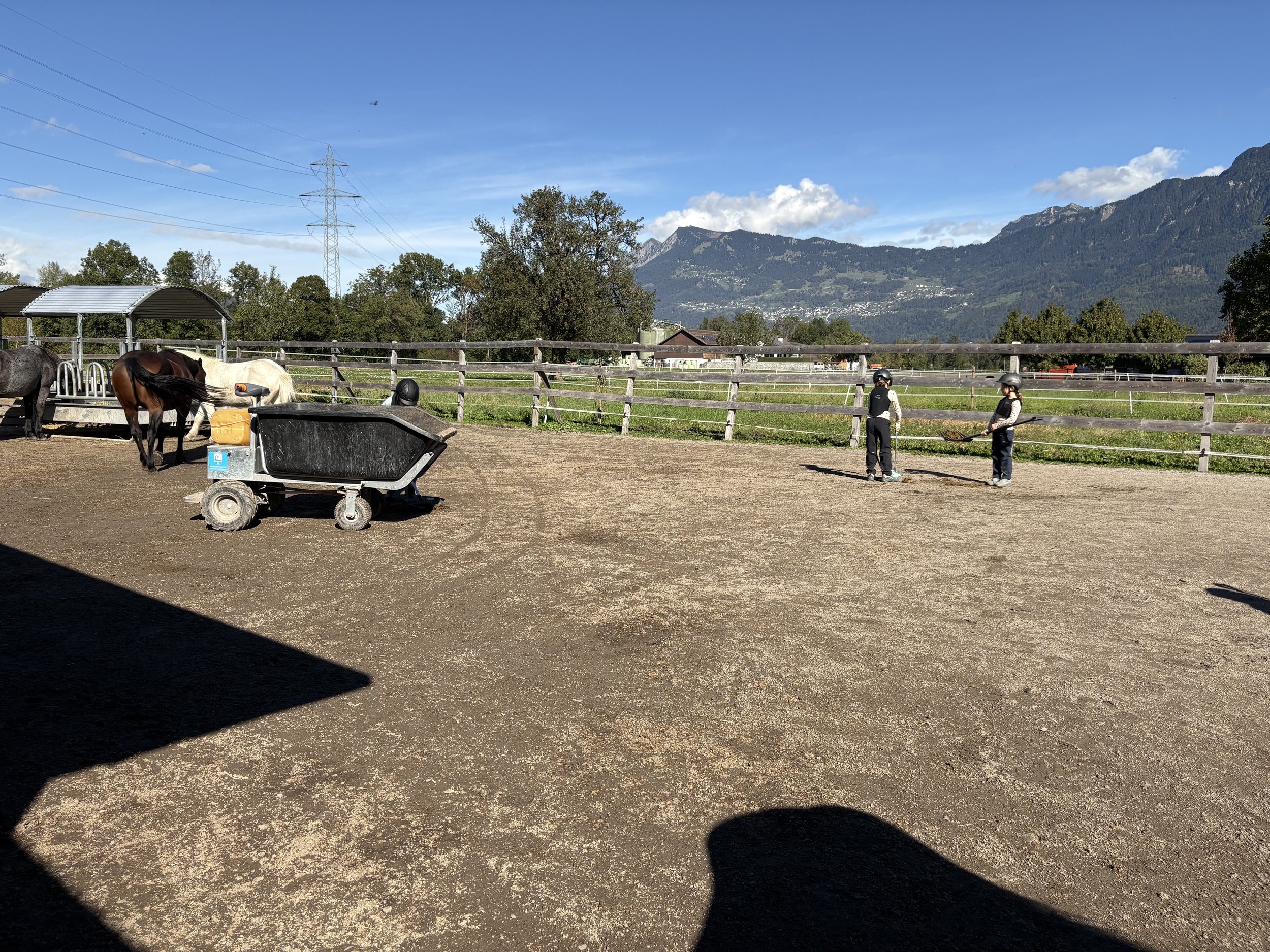 IMG_7872.jpeg
