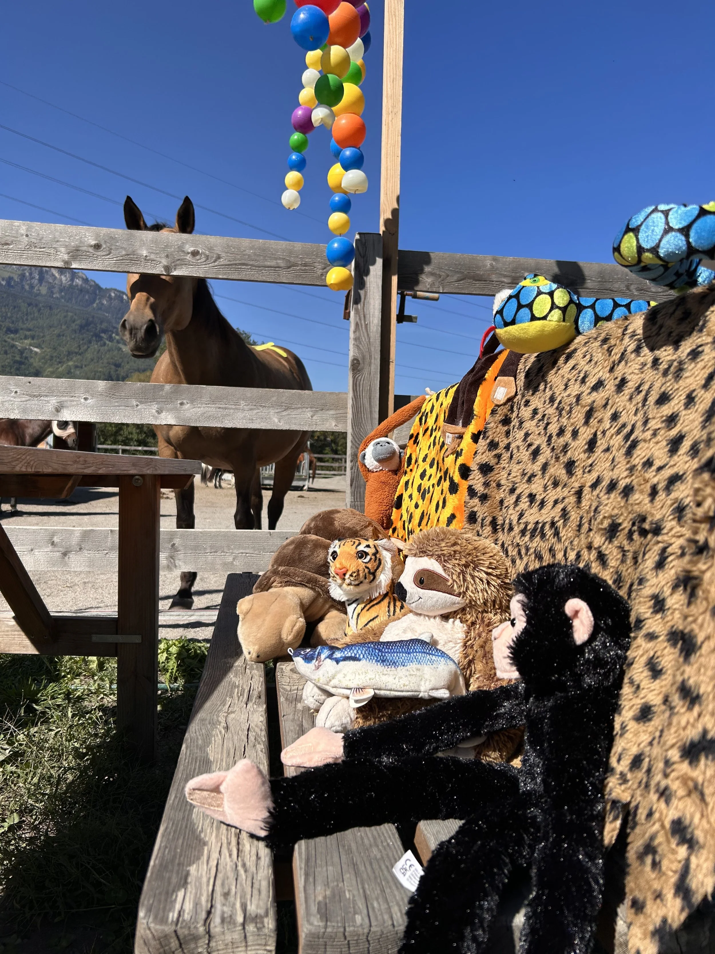 IMG_7681.jpeg