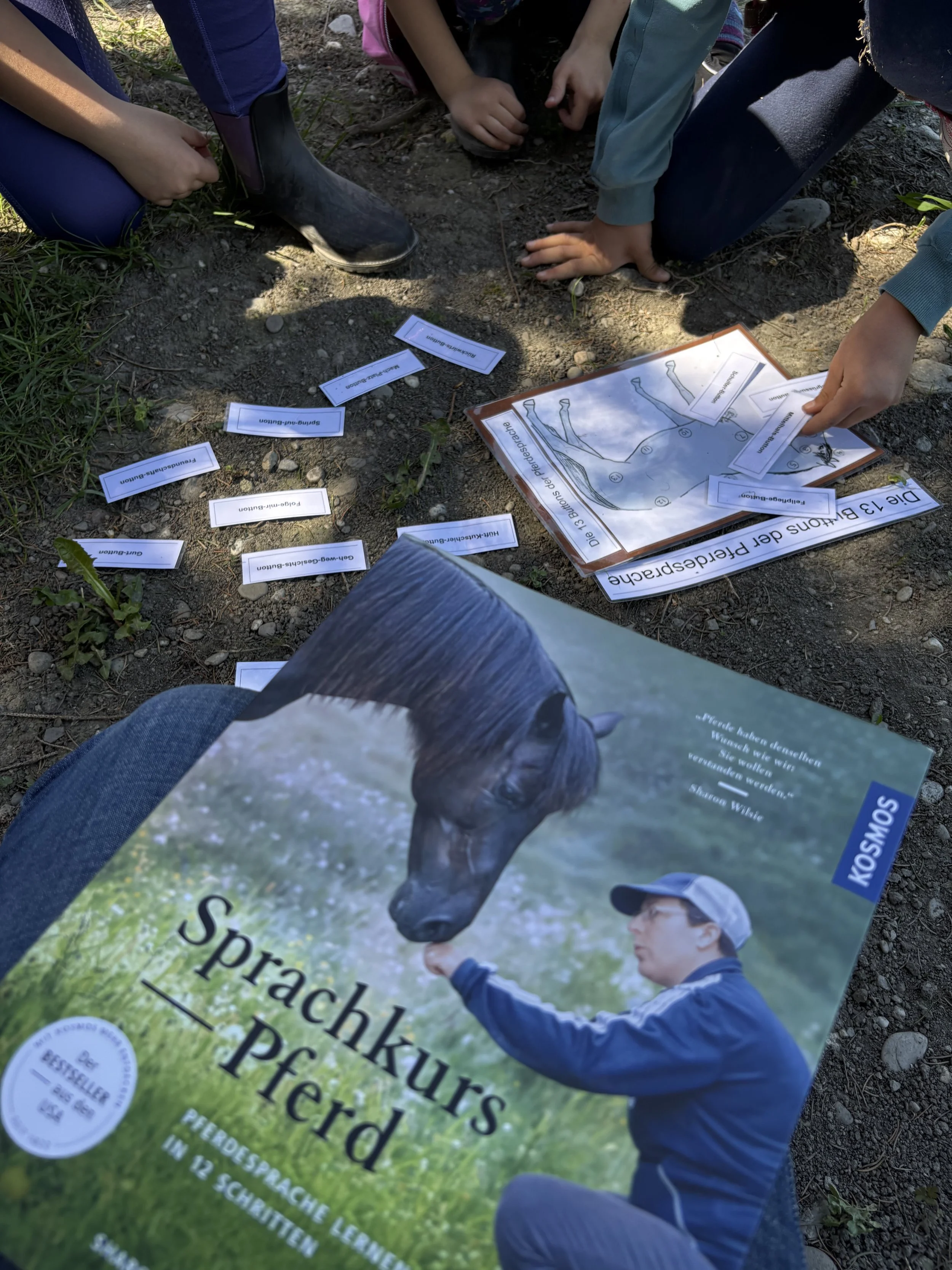 Sprachkurs Pferd für Kids