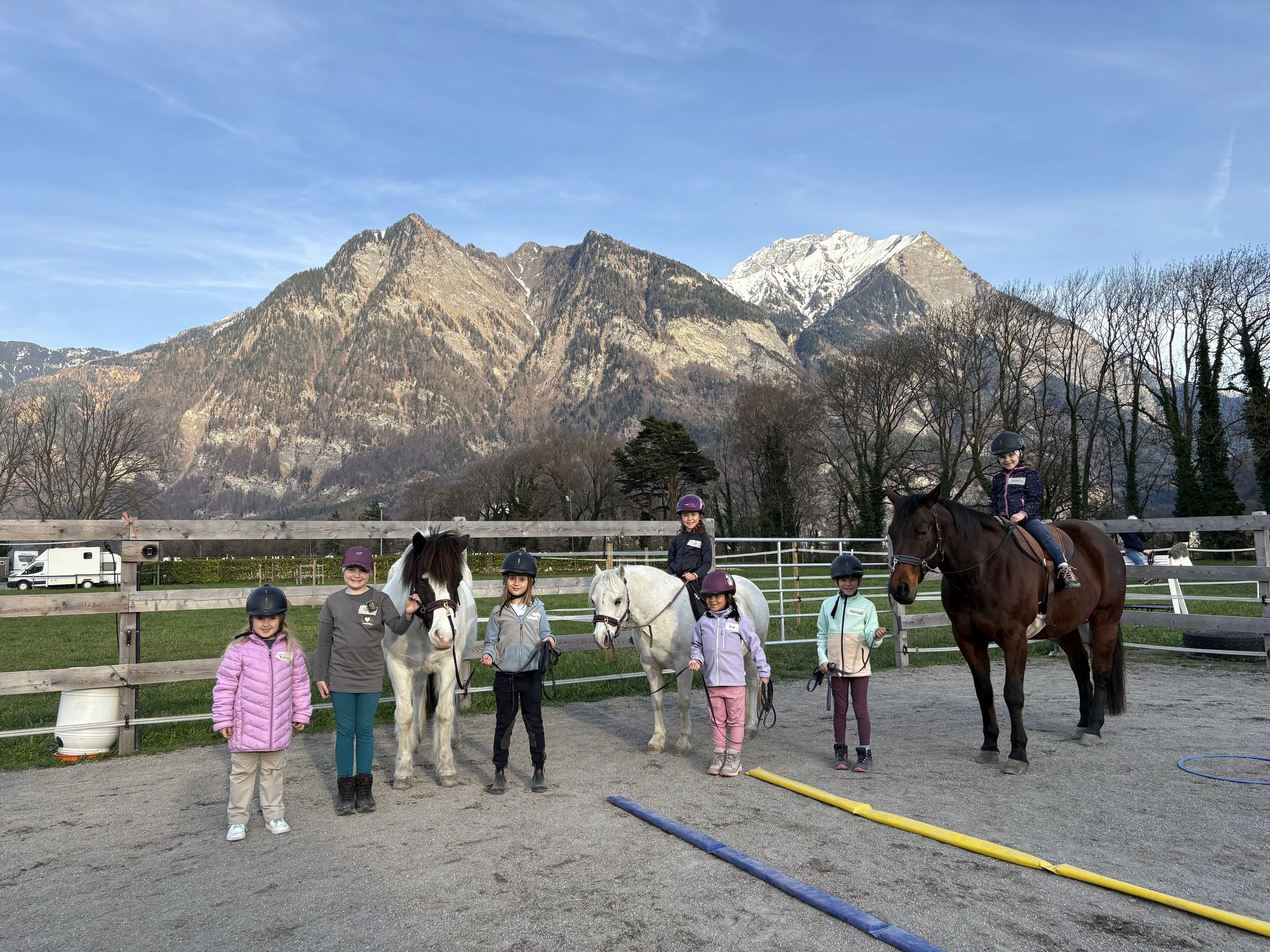 Dualini® Nachmittage