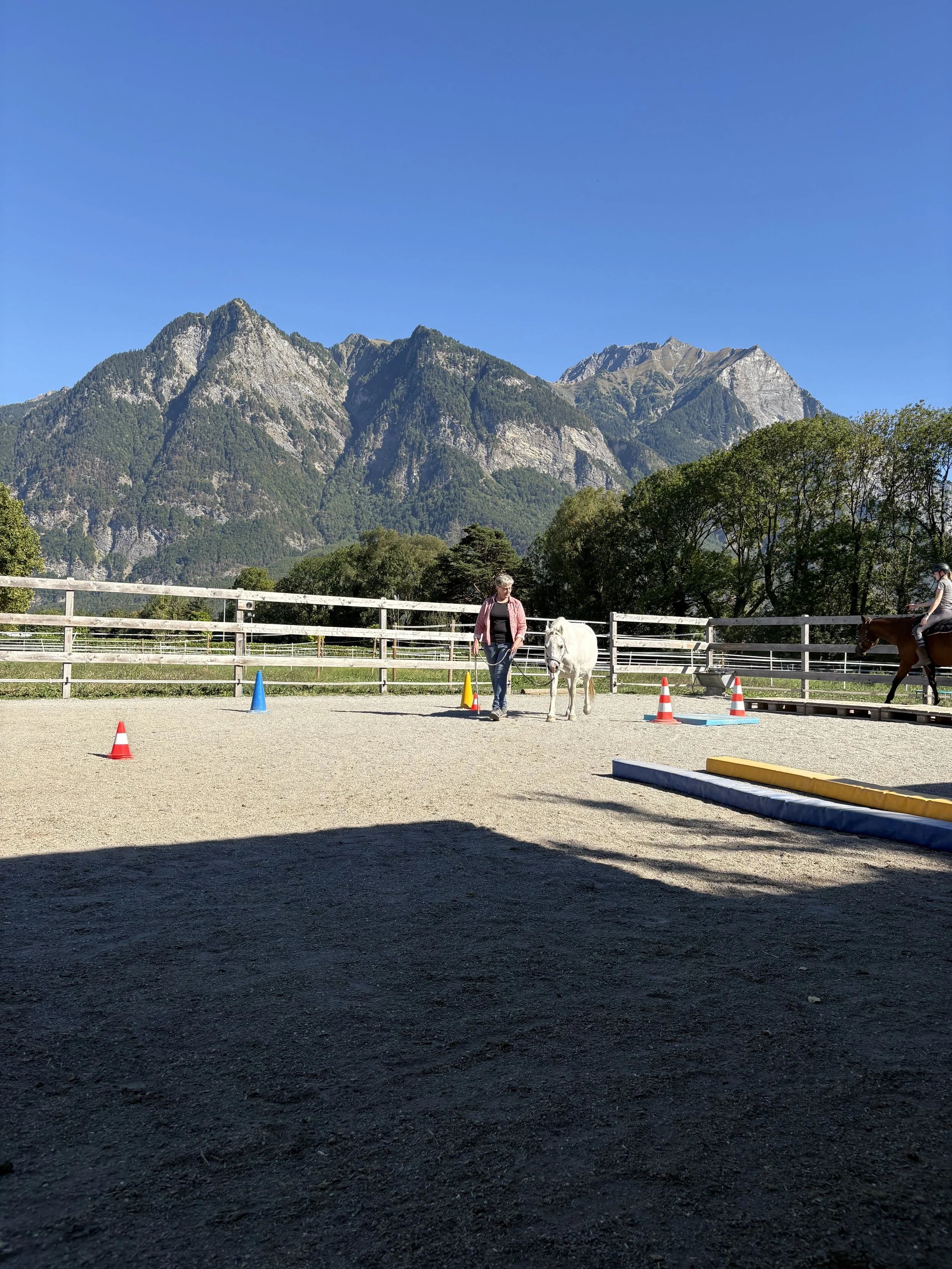 IMG_7399.jpeg