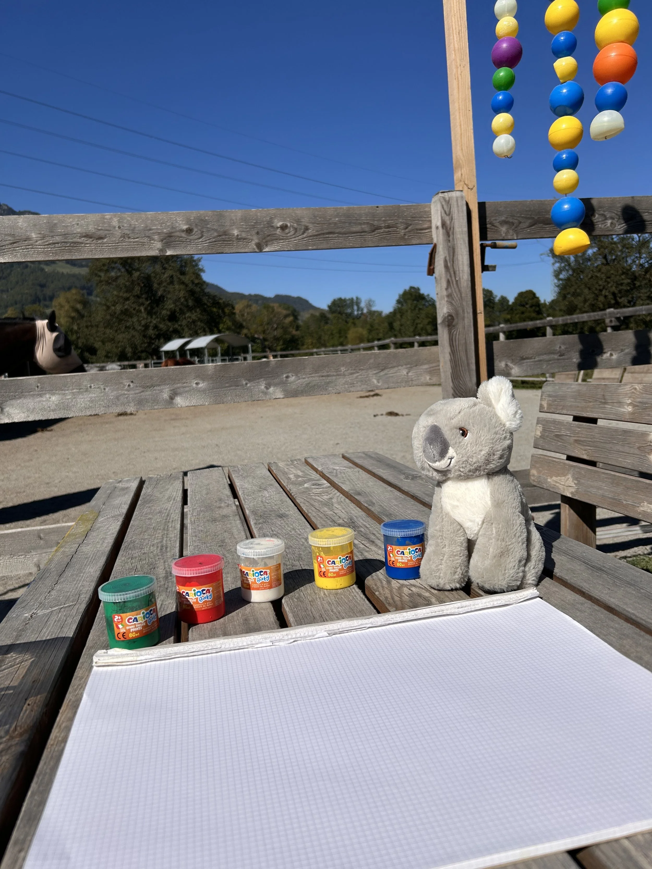 IMG_7676.jpeg