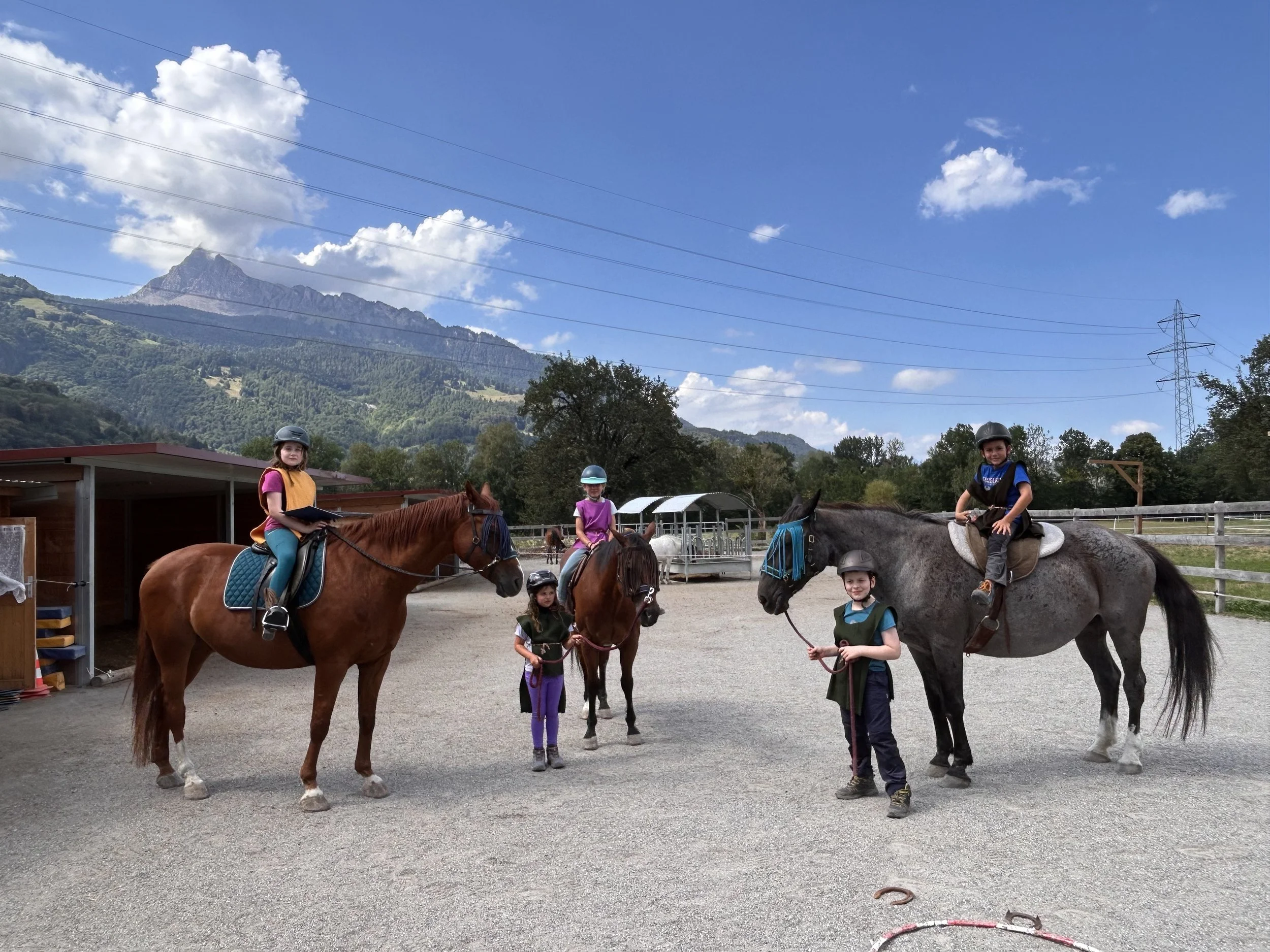 IMG_6898.jpeg