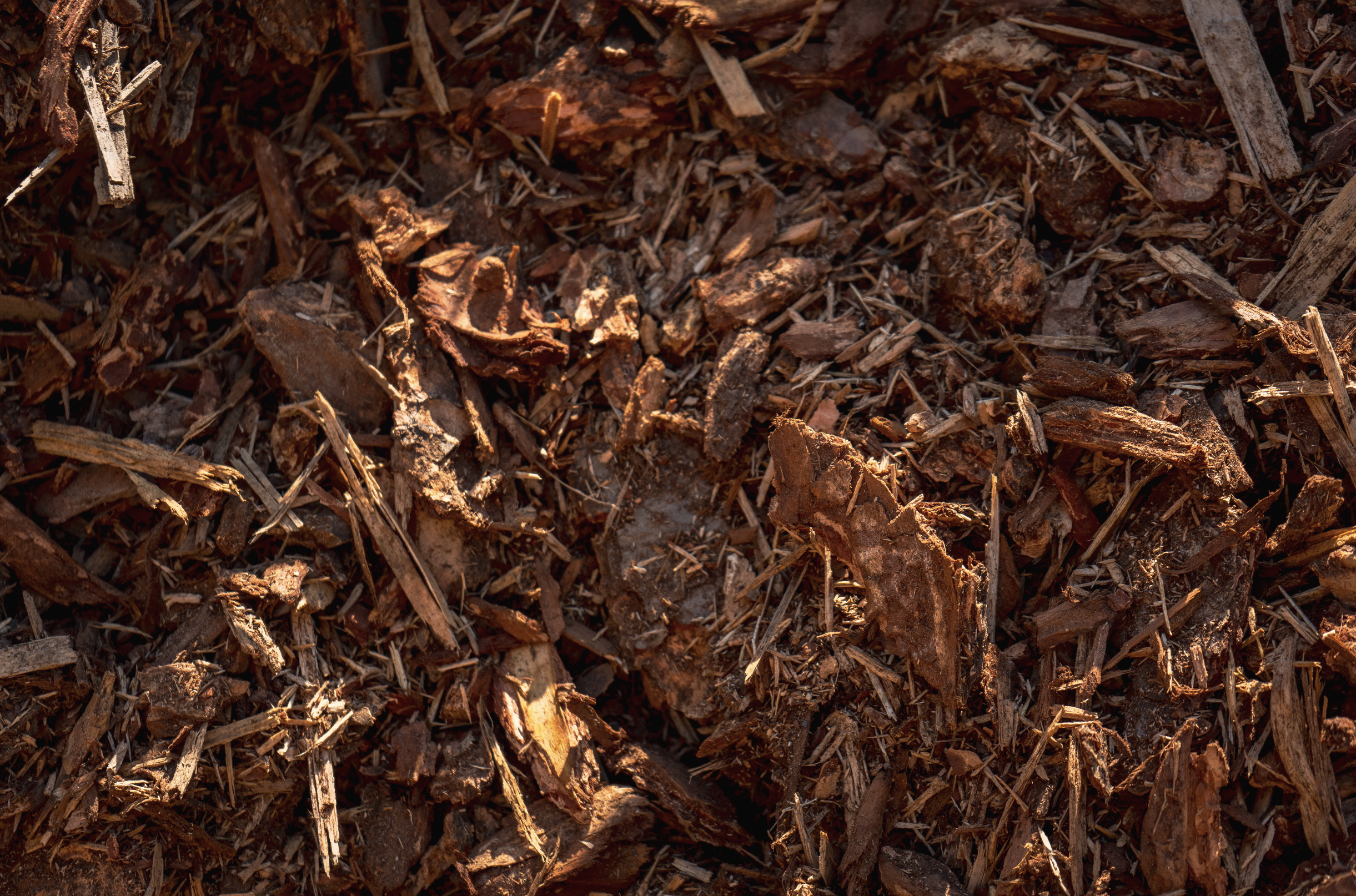 Natural Bark Mulch ($62/yard)