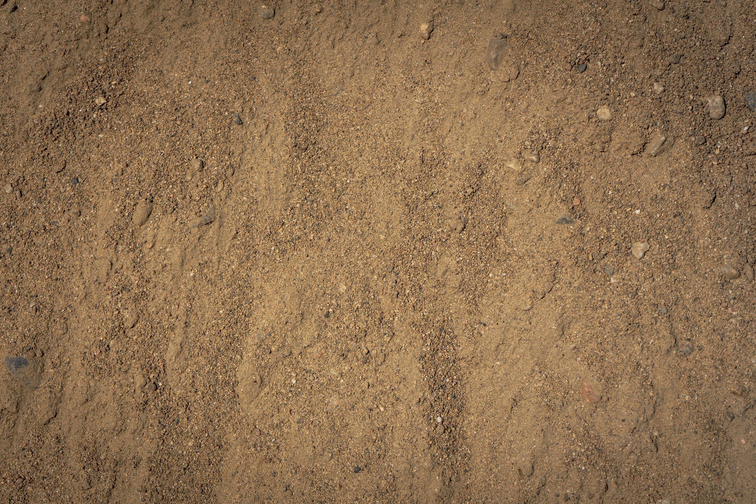 Screened Sand ($20/yard)