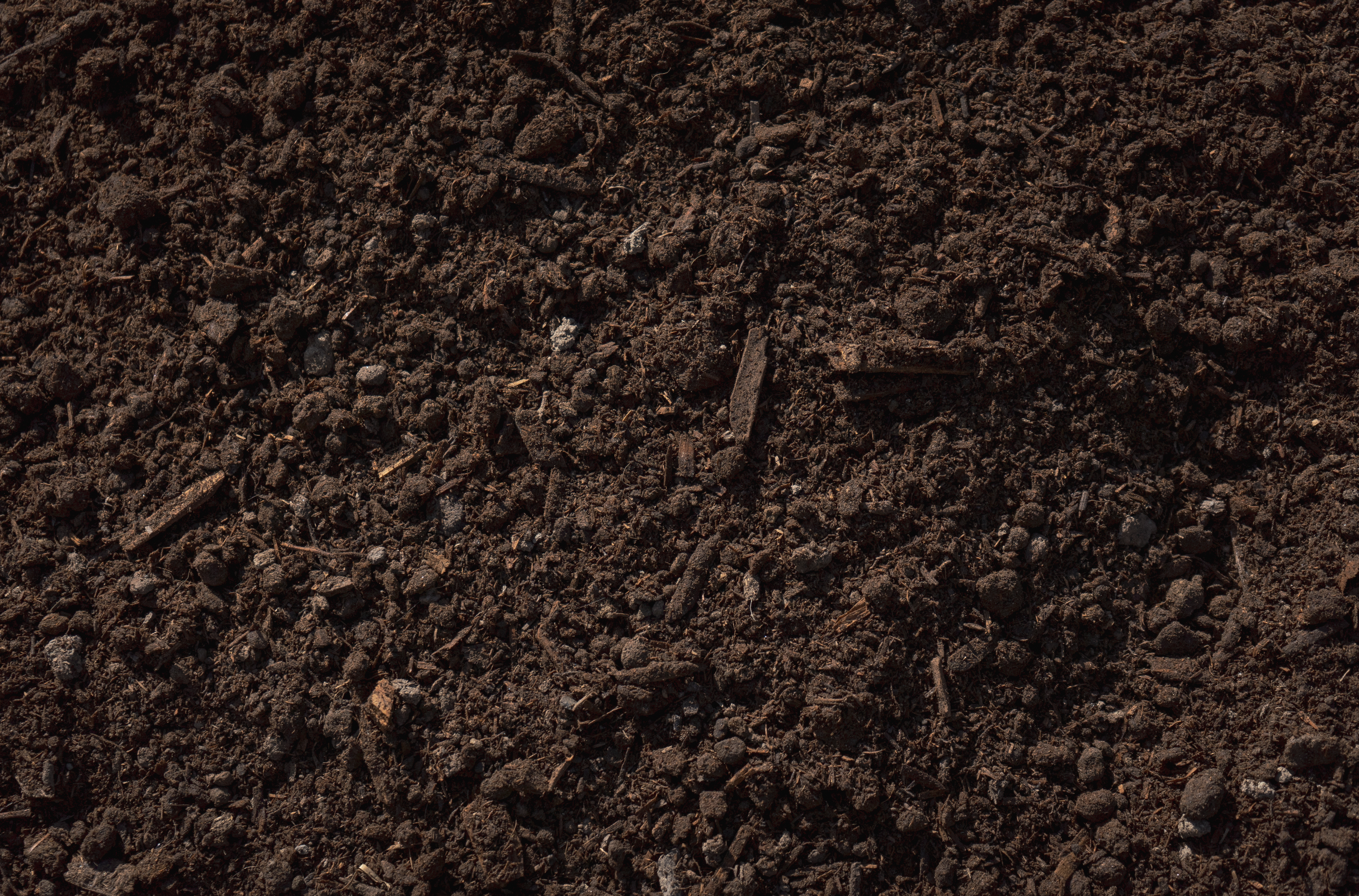Steer Manure ($95/yard)
