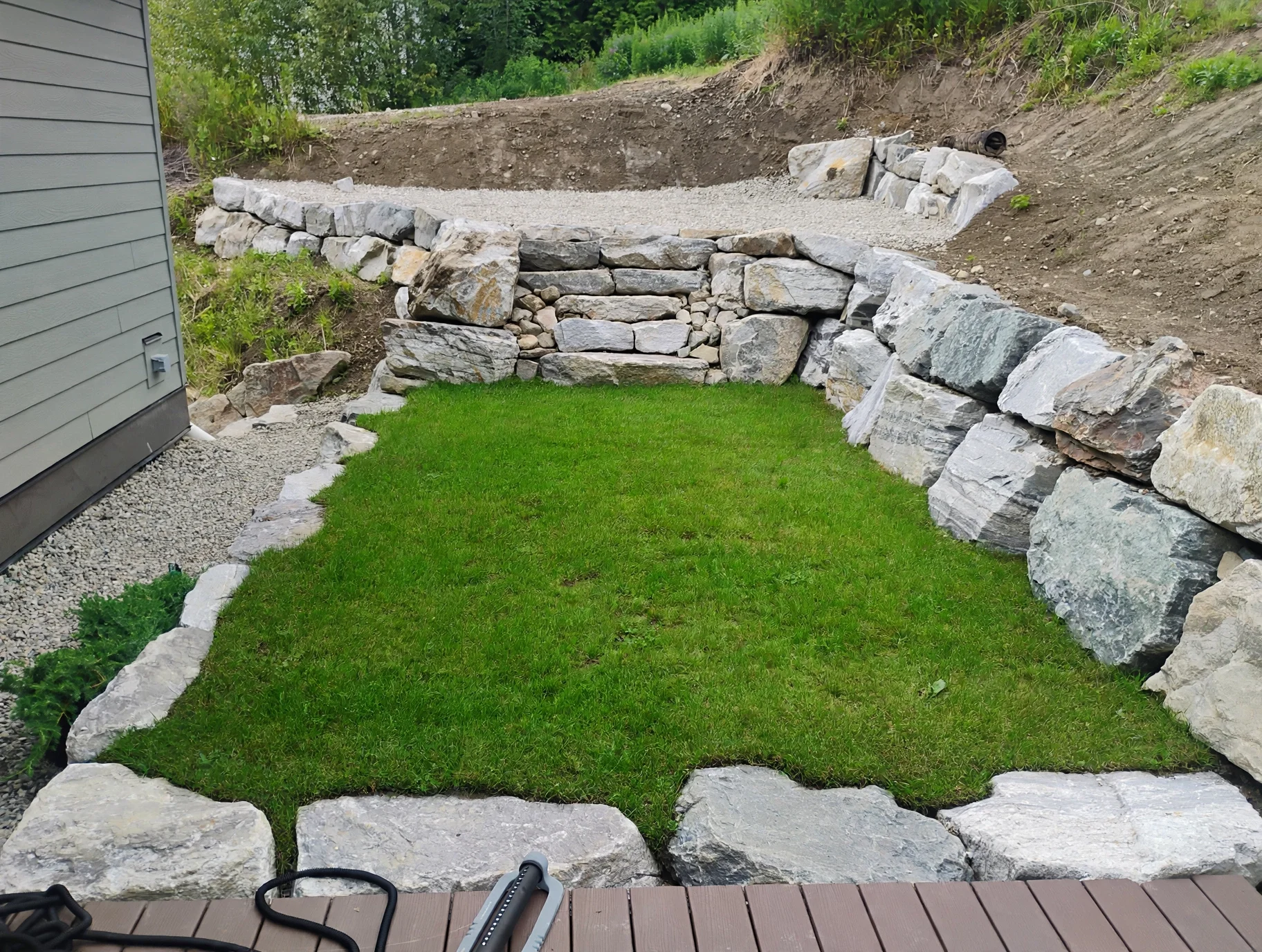 natural_lush_lawn.webp