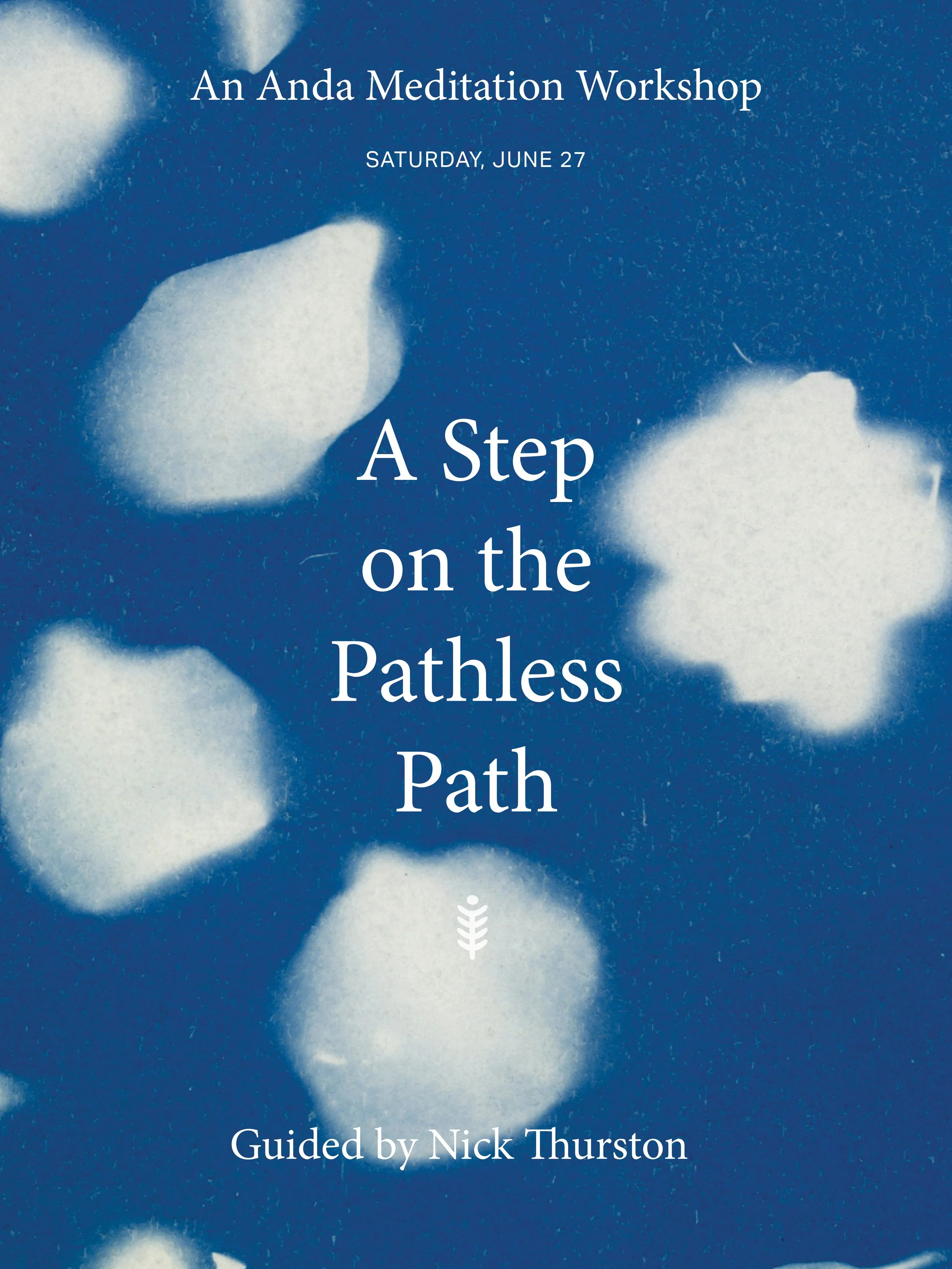 ANDA_asteponthepathlesspath2.jpg