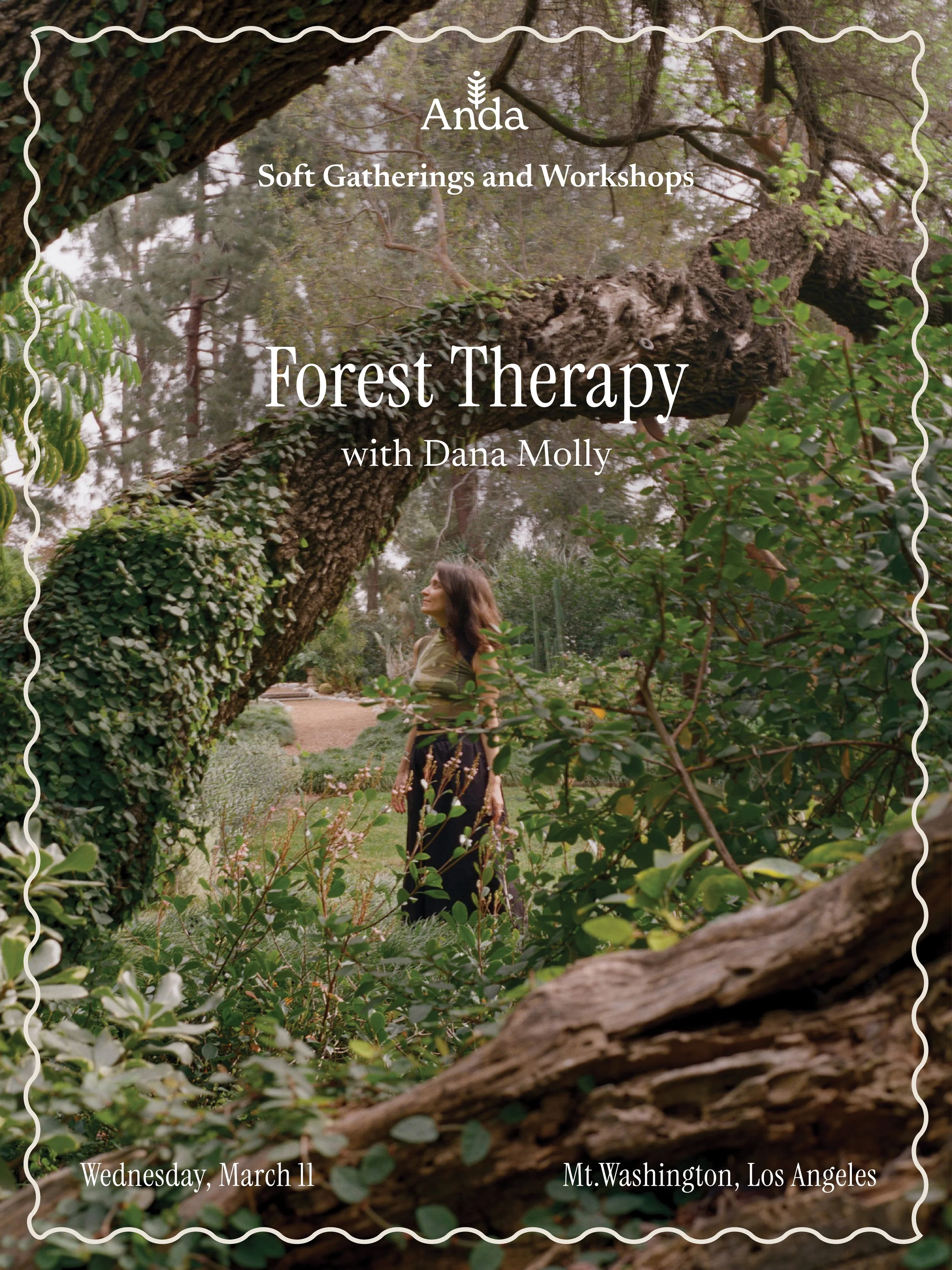 ANDA_FORESTTHERAPY.jpg