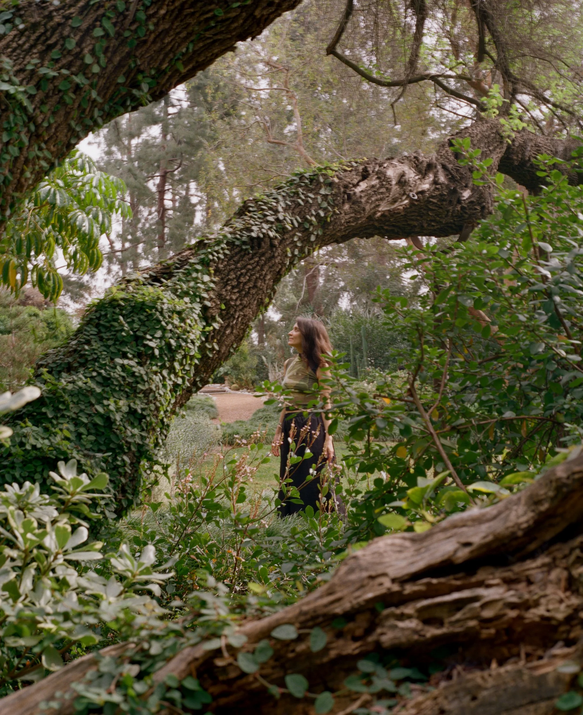 21318-1-0006_contrast copy.jpg