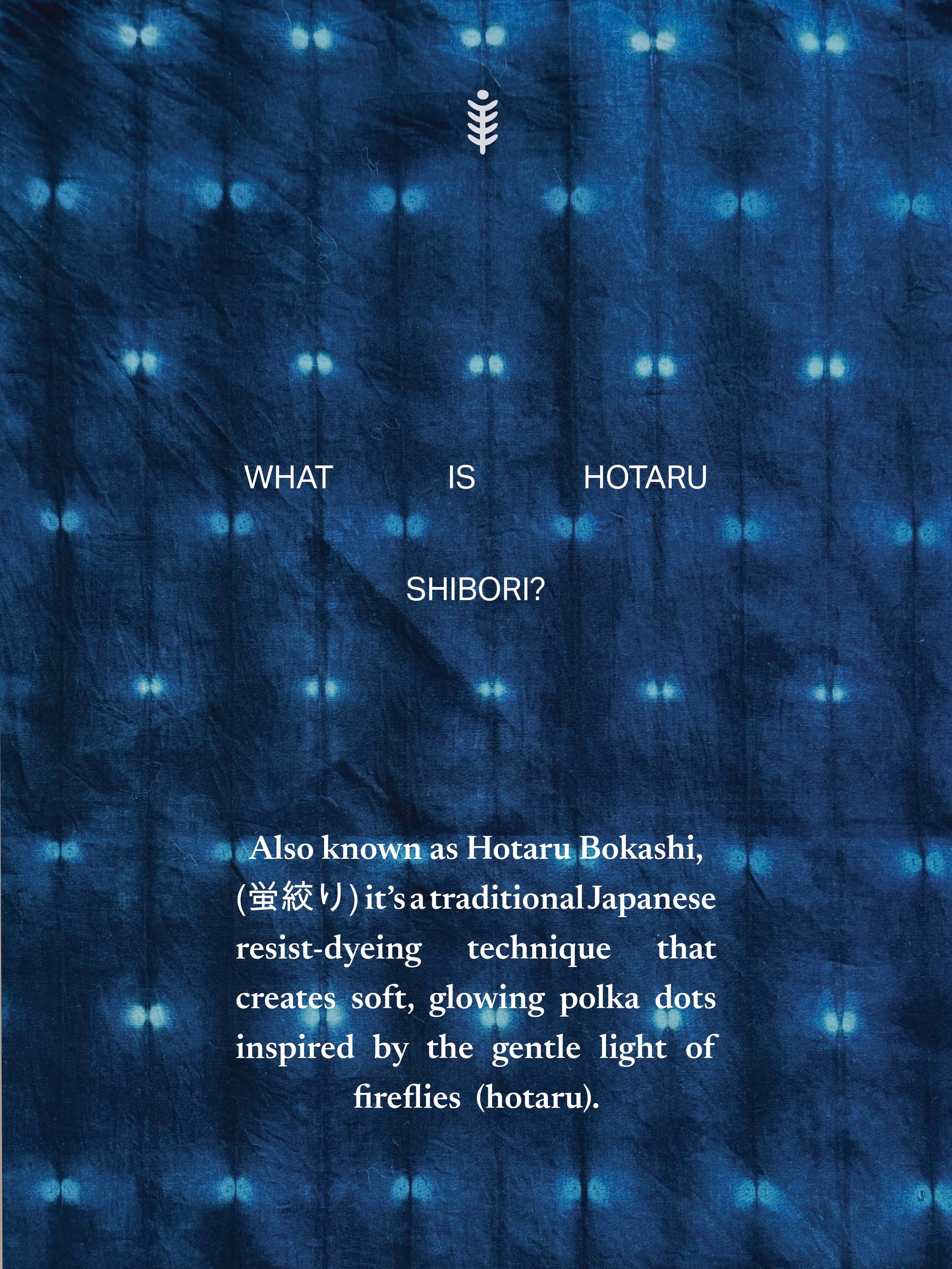 Hotaru_Shibori_post2.jpg