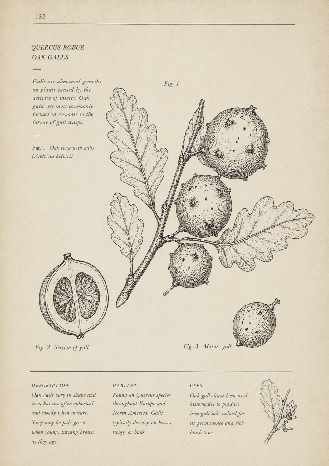 ChatGPT Image Apr 25, 2026 at 10_08_04 PM.png