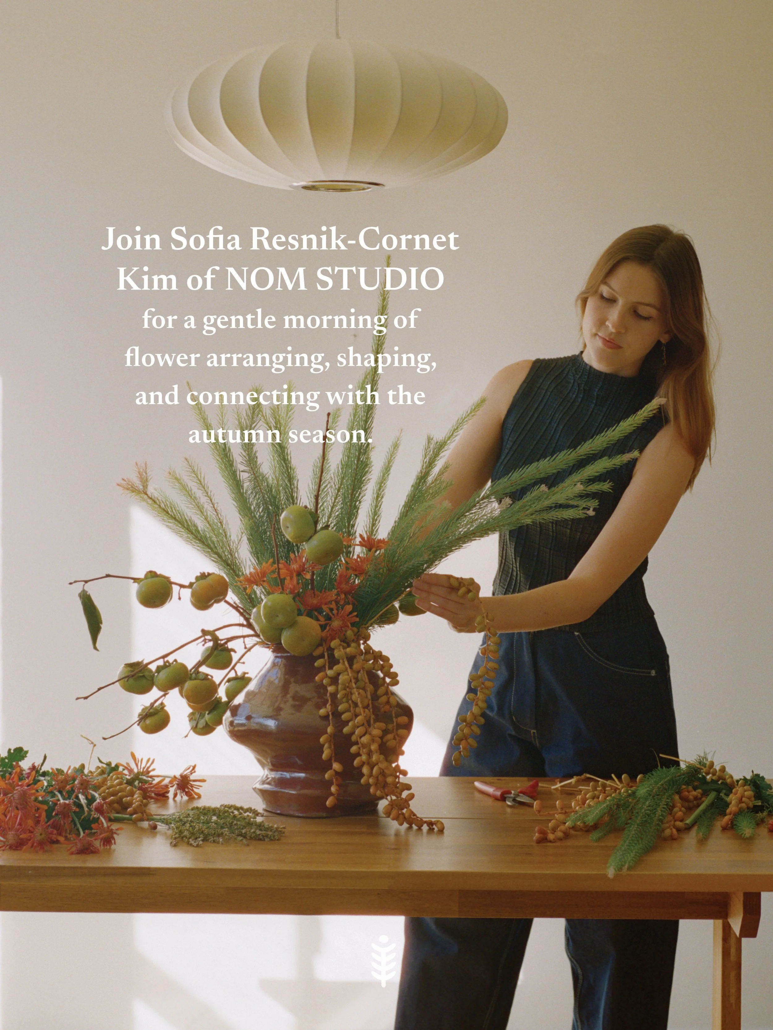 NOMNEW2.jpg