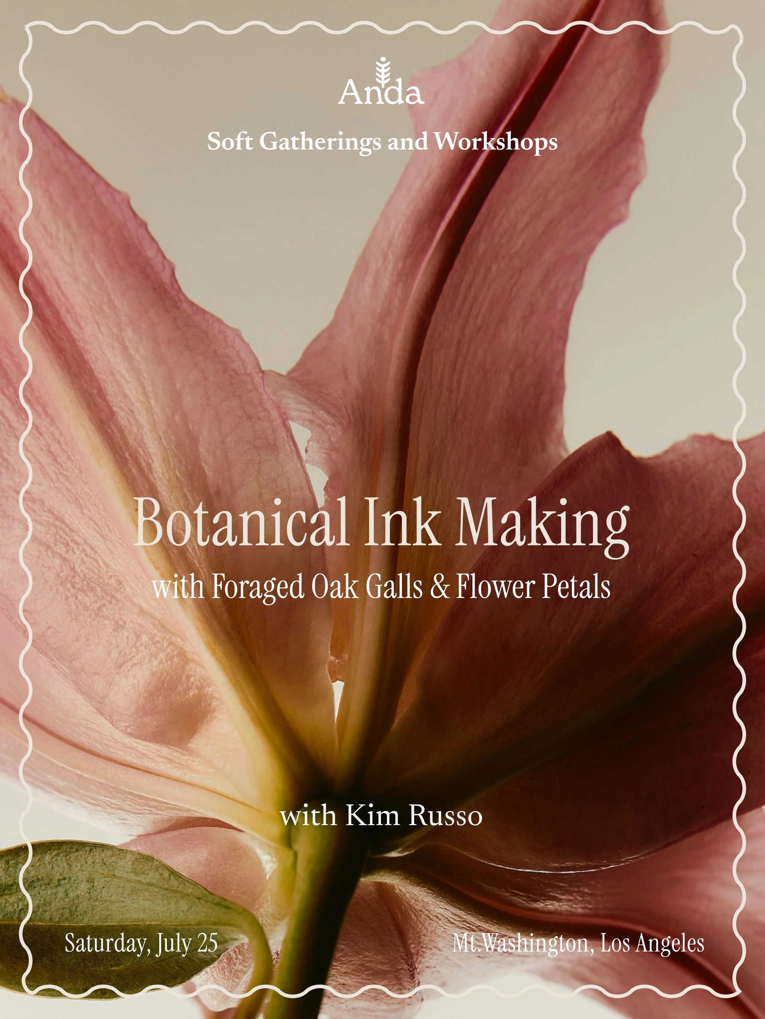 ANDA_botanicalink_updated.jpg
