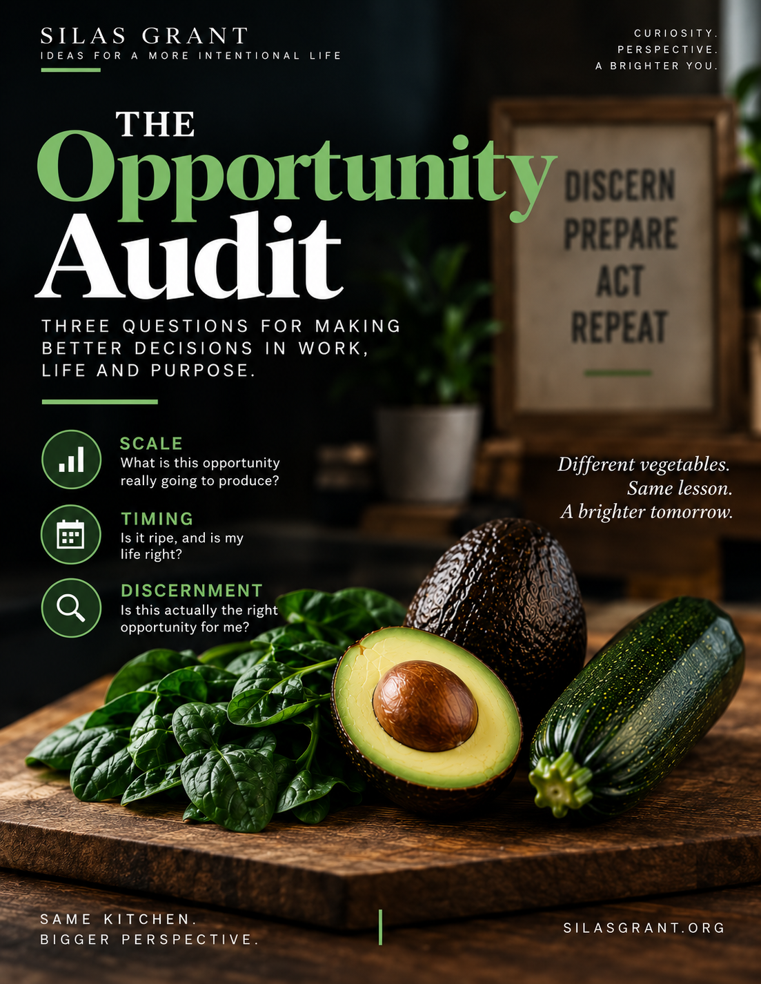 The Opportunity Audit (Website Product Cover).png