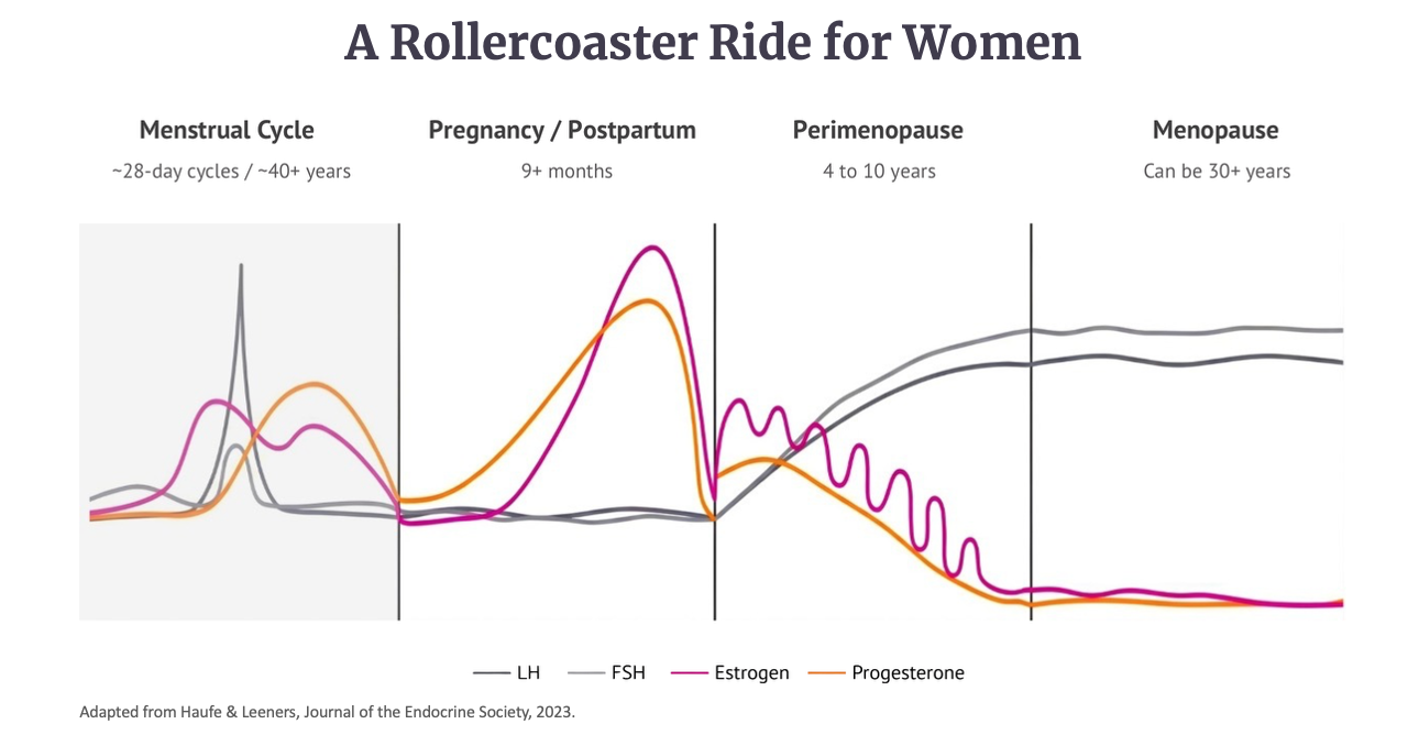 Screenshot 2026-04-13 at 4.38.46 PM.png