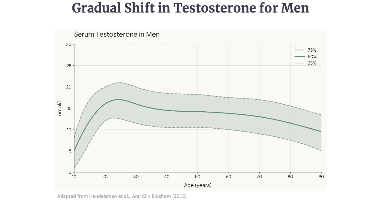 Screenshot 2026-04-13 at 4.39.41 PM.png