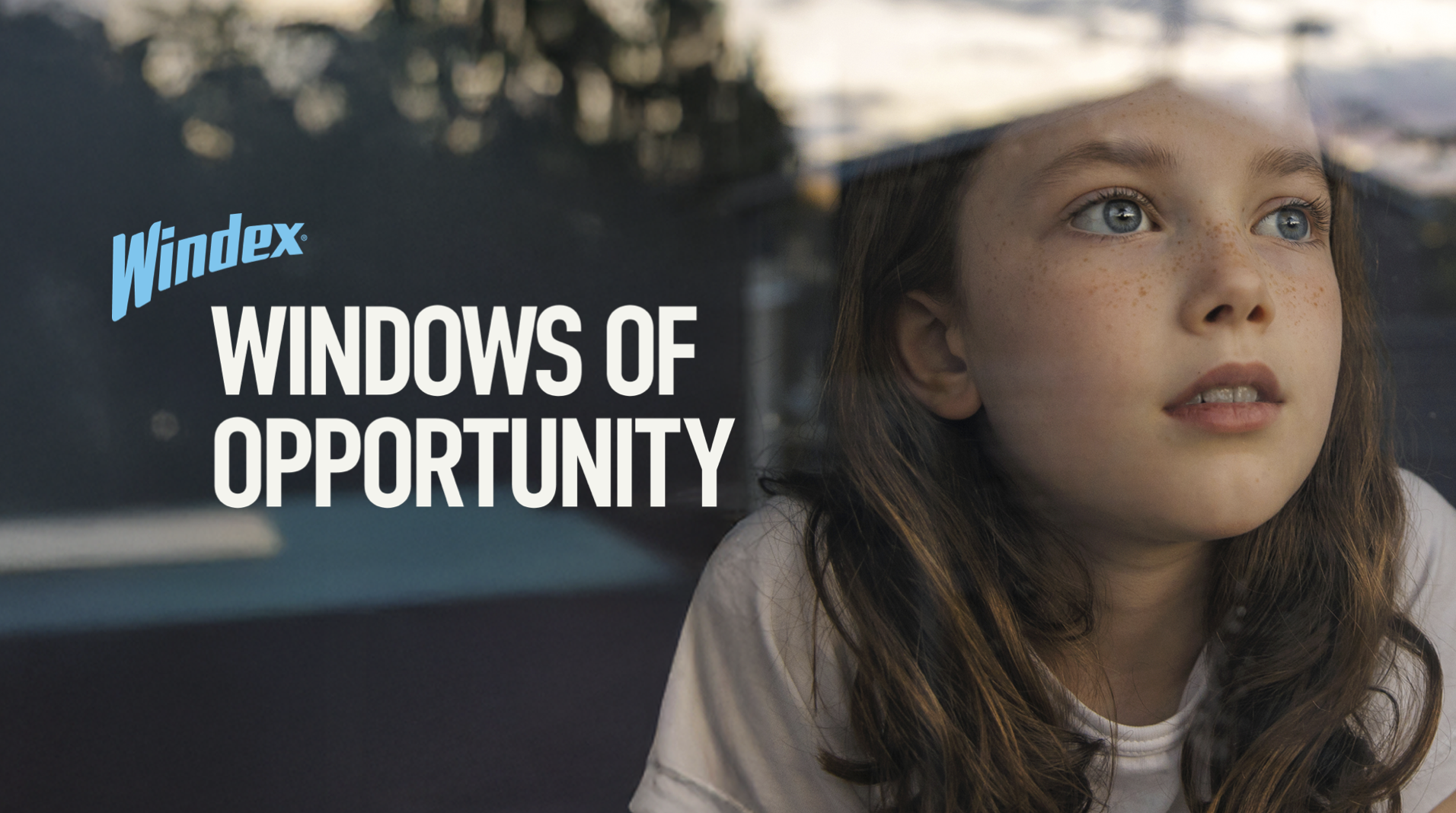 Windex Windows of Opportunity
