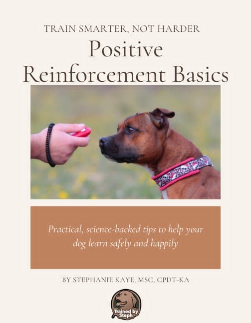 Positive Reinforcement Basics Guide