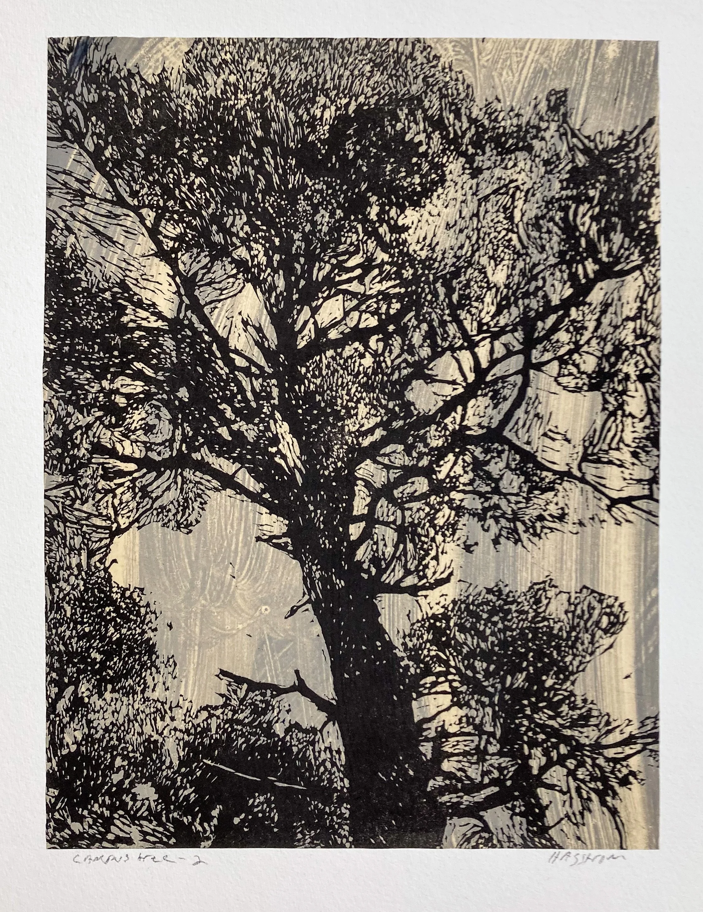Campus Tree 2, Linocut with monotype and chine colle, 2025, 13.5 x 10.5, Unique impression, 350$
