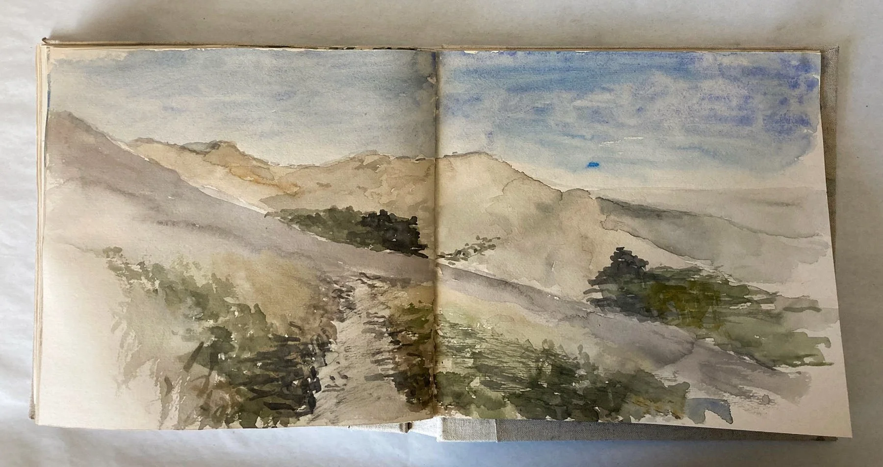 IMG_1923-Water Color.jpg