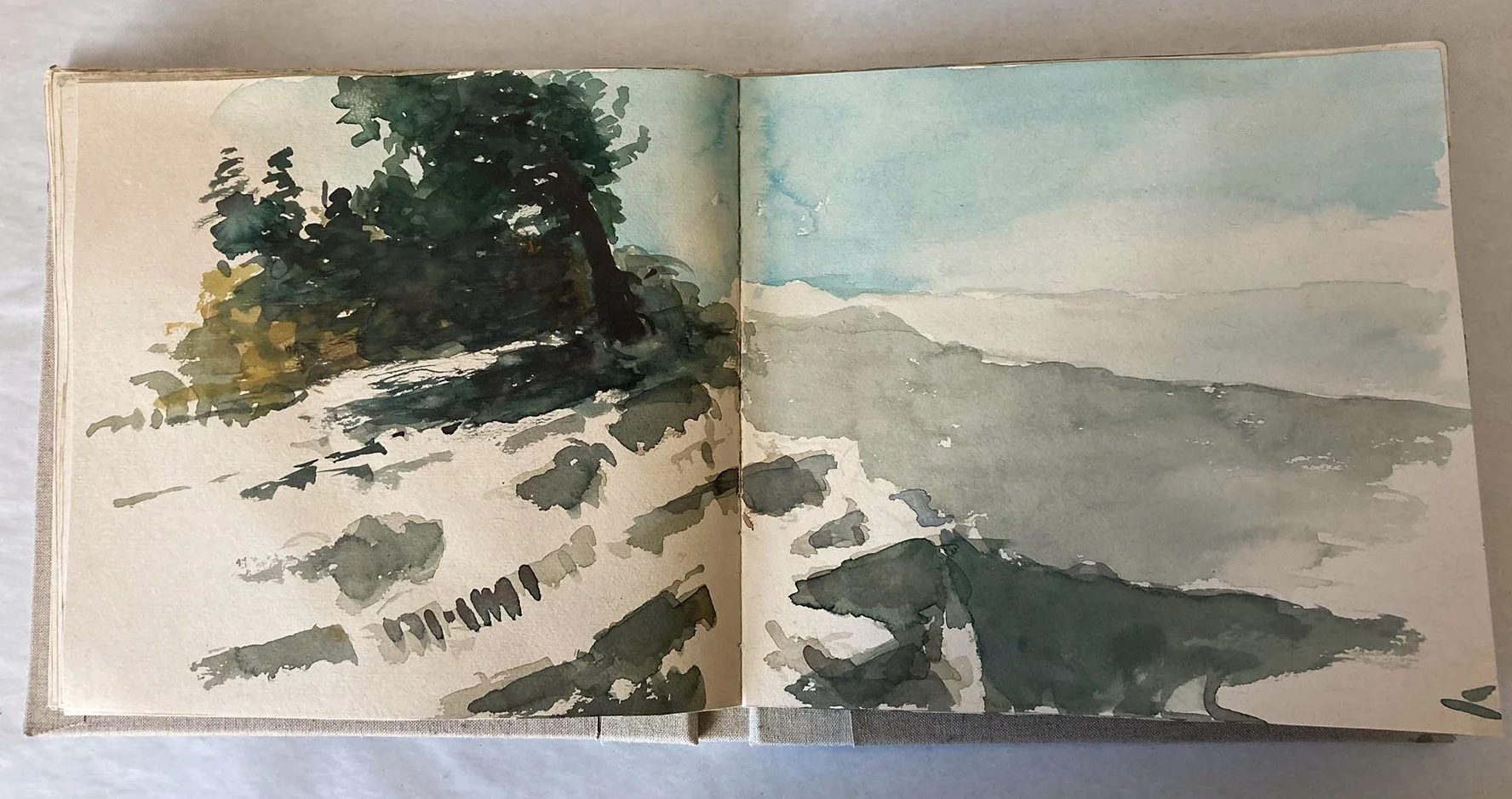 IMG_1916-Water Color.jpg