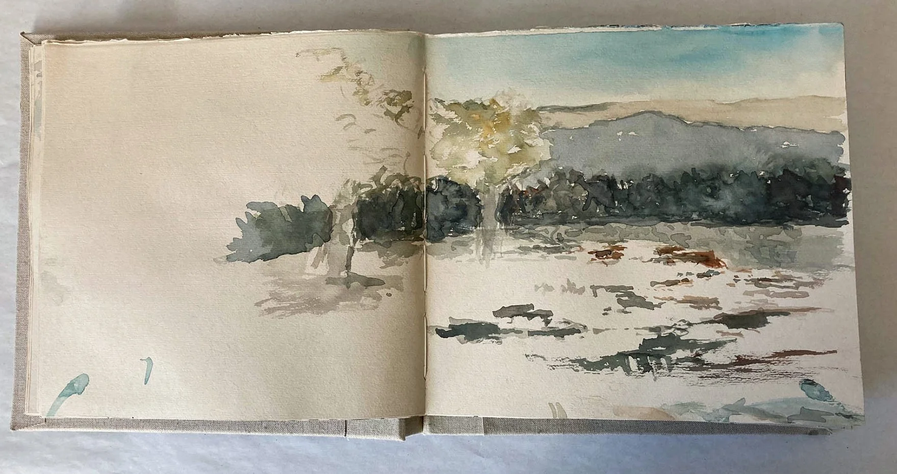 IMG_1913-Water Color.jpg