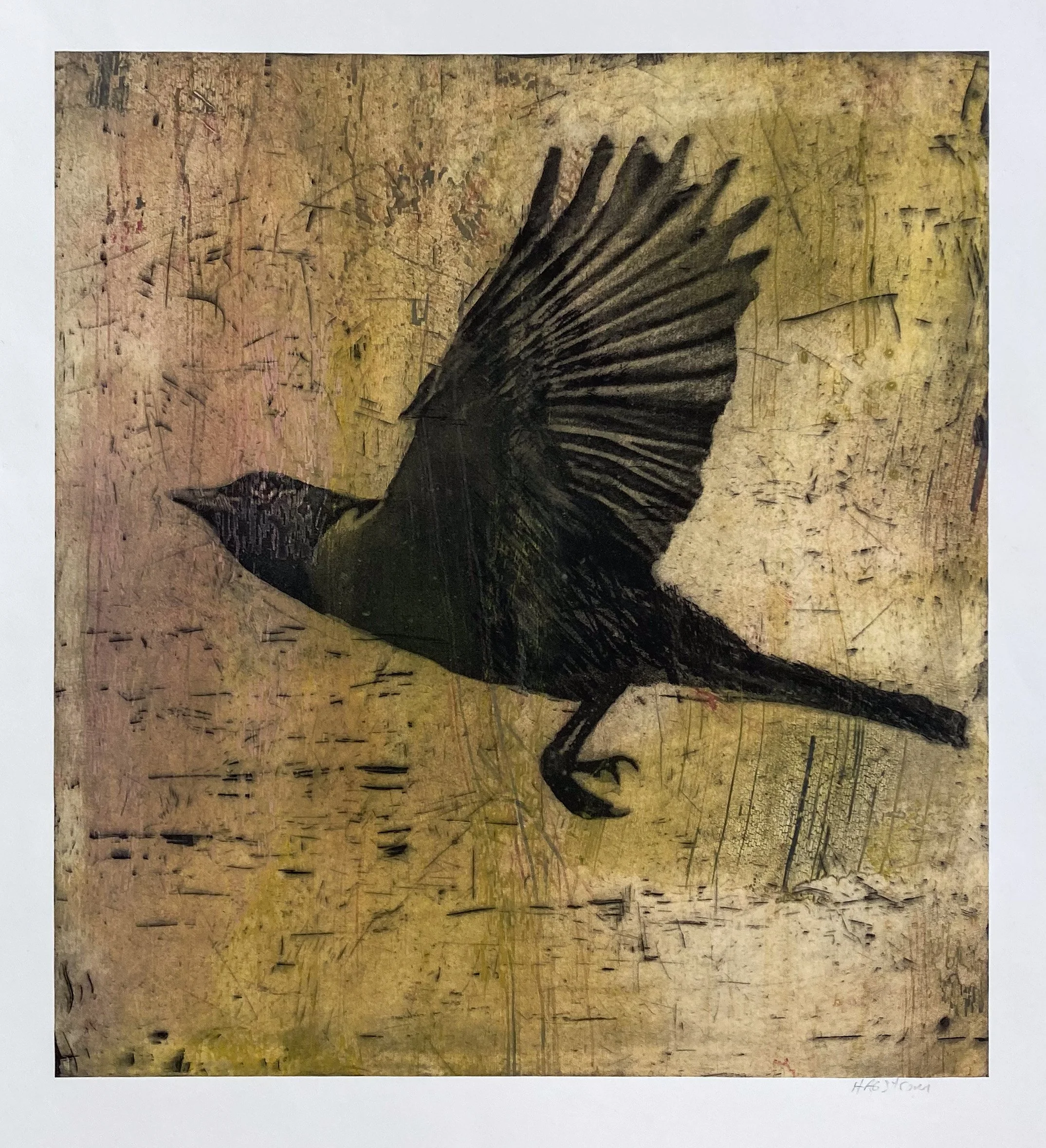 Large Bird, Intaglio and chine colle, 2023, 21.5x19.5, 700$