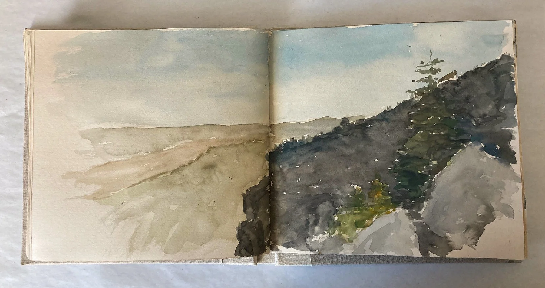 IMG_1917-Water Color.jpg