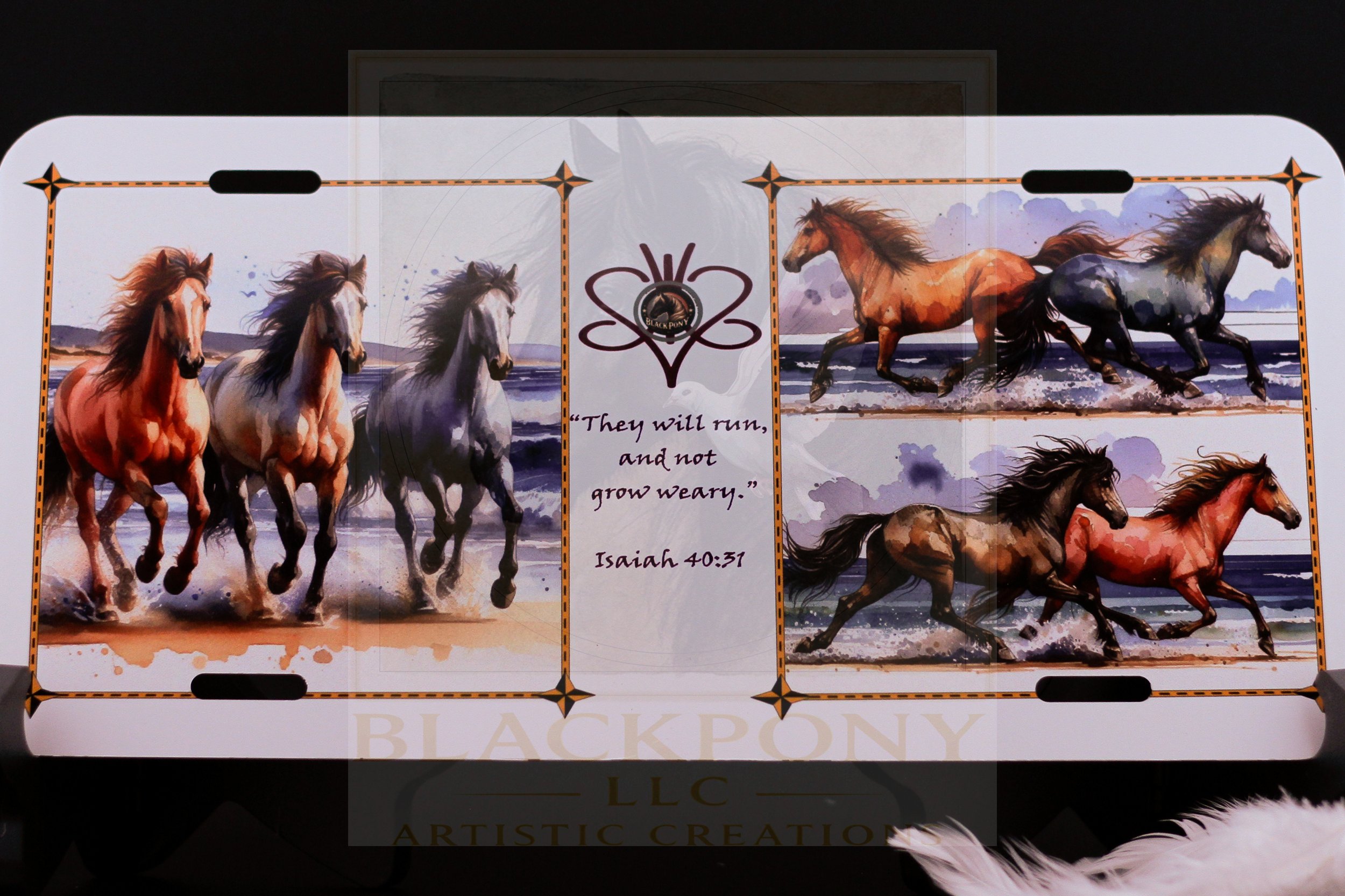 They will run and Not Grow Weary (5 of 1).jpg