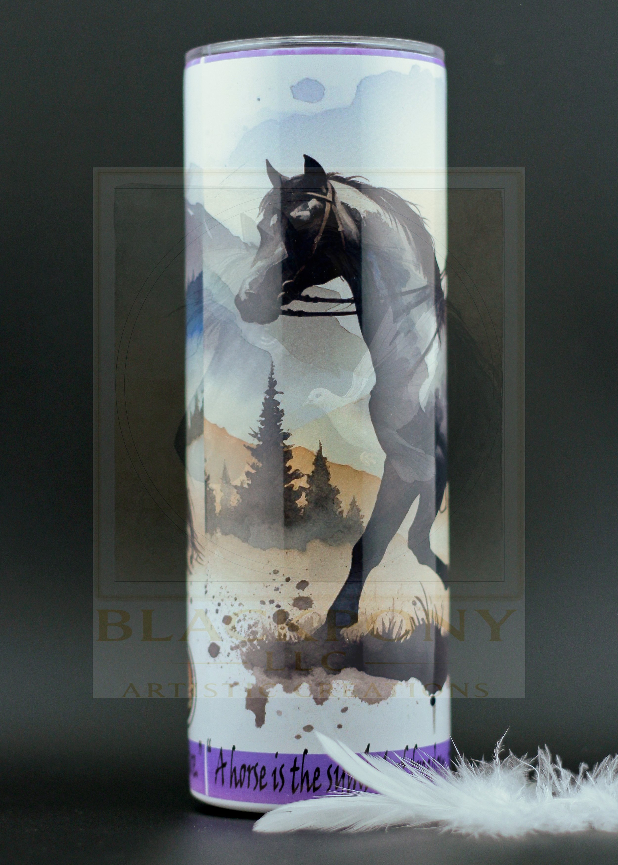 Spirit of Adventure-5.jpg