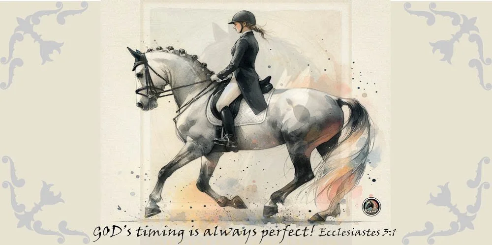 Strength in Harmony-Premium Aluminum License Plates