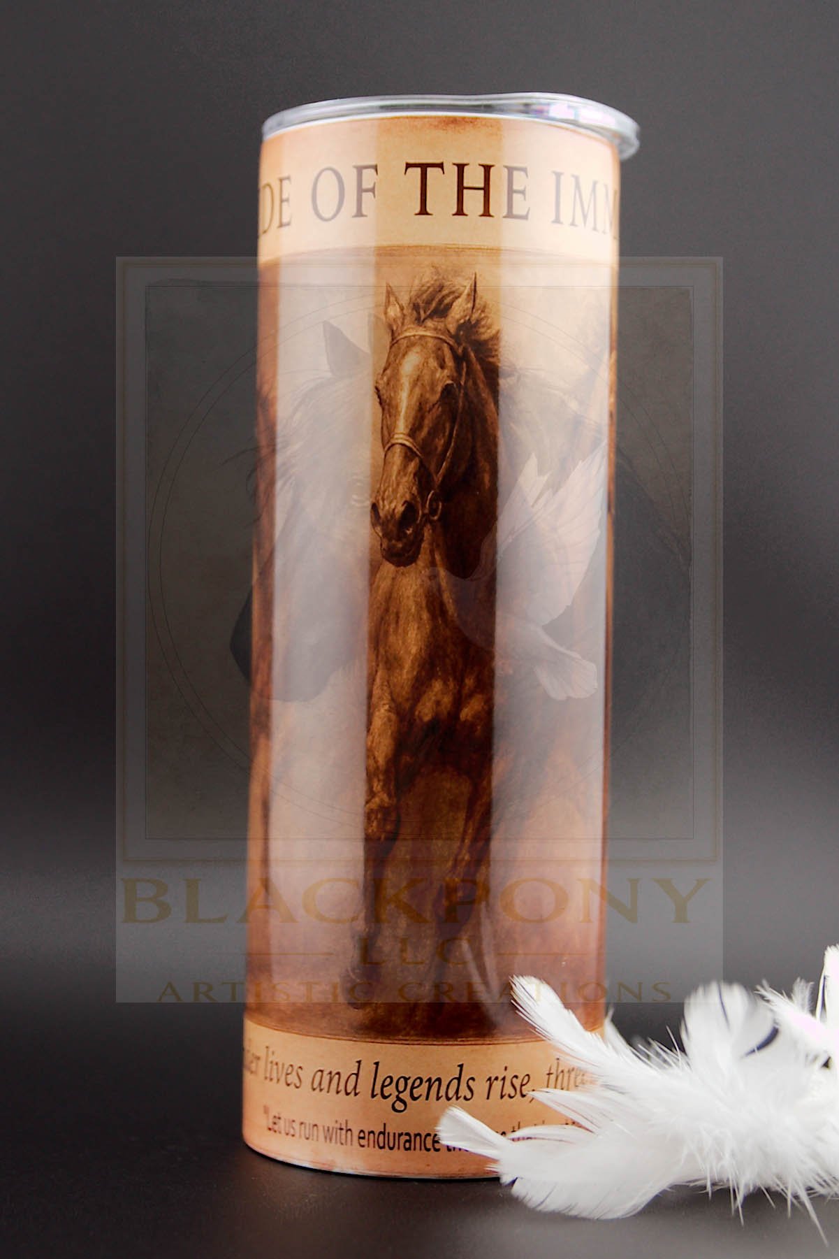 Stride of The Immortals 1-0002.jpg