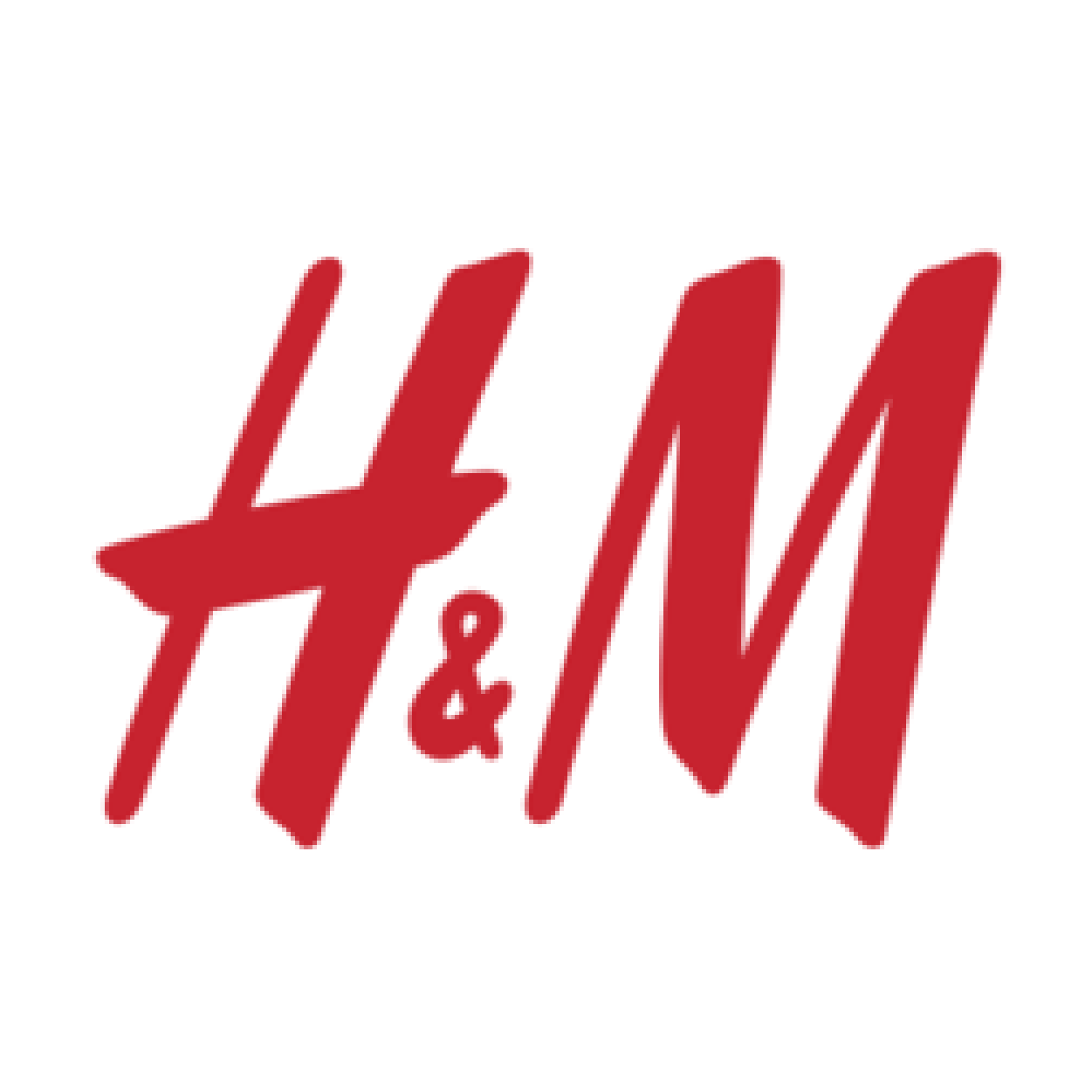 Brand Collaboration H&M Logo